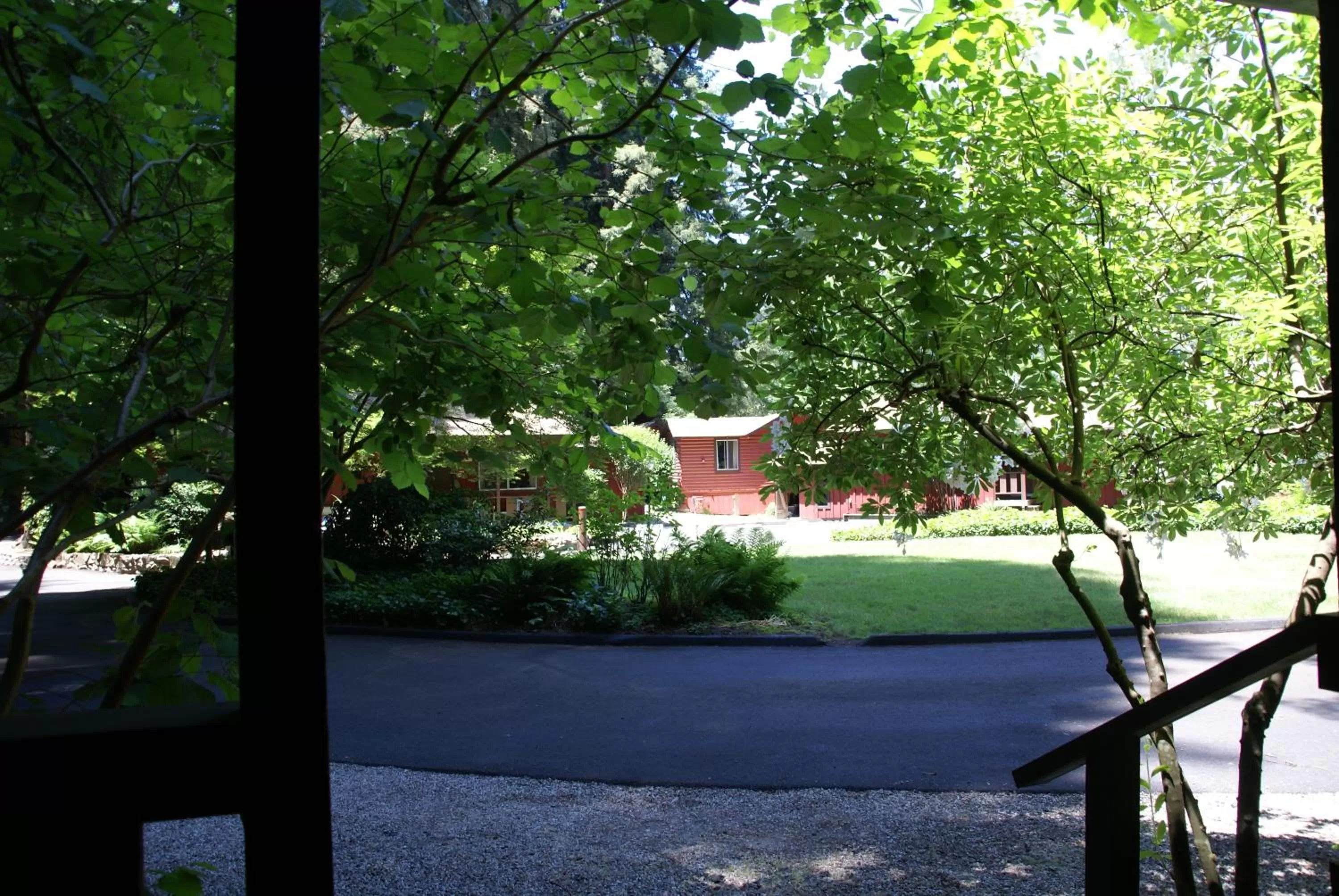 Garden in Fern River Resort