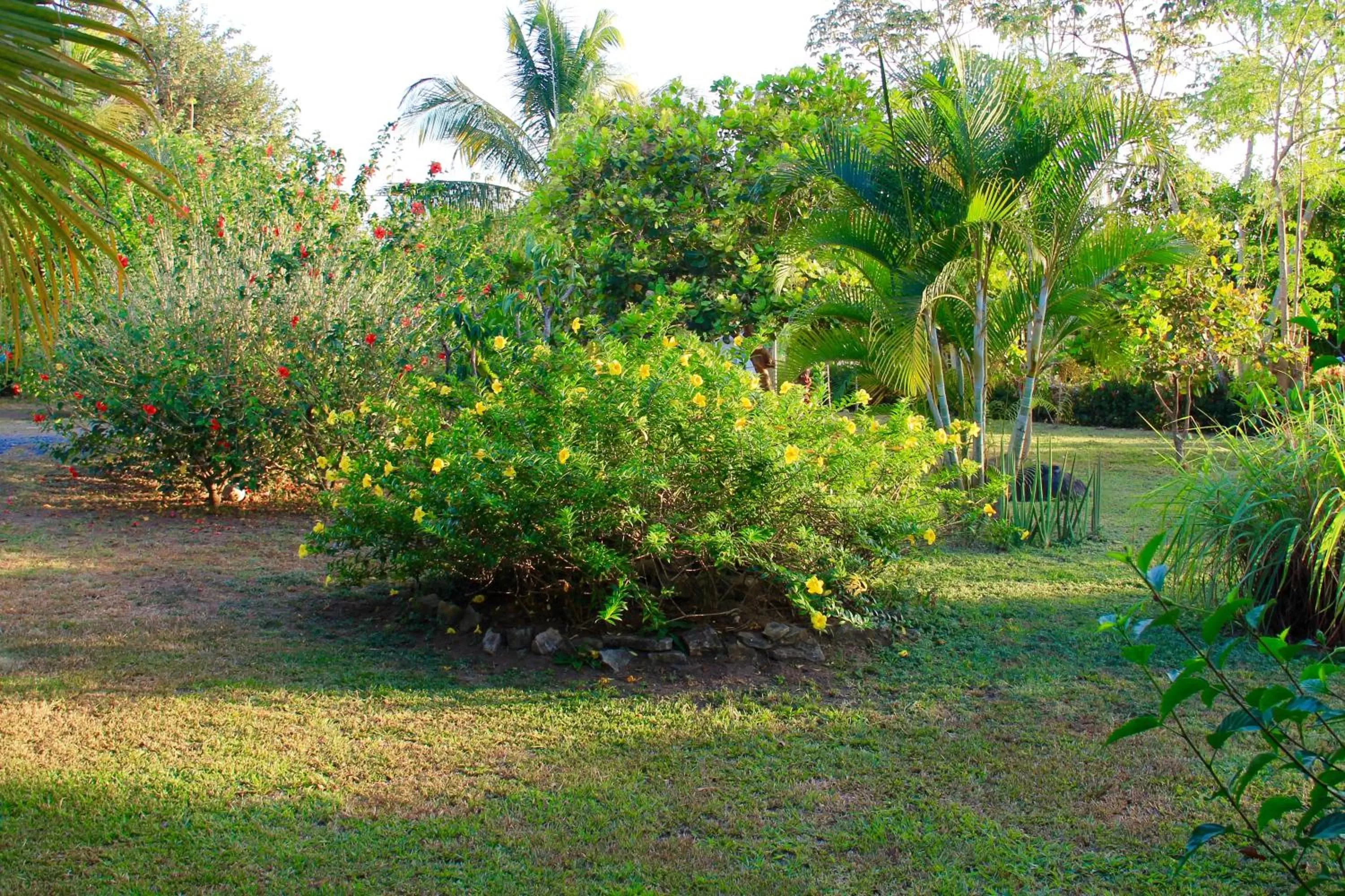 Garden in Cabañas La Casa de Pucha