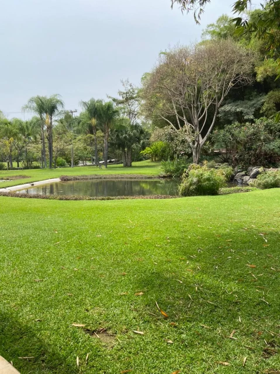 Garden in Huayacán Cuernavaca Curamoria Collection