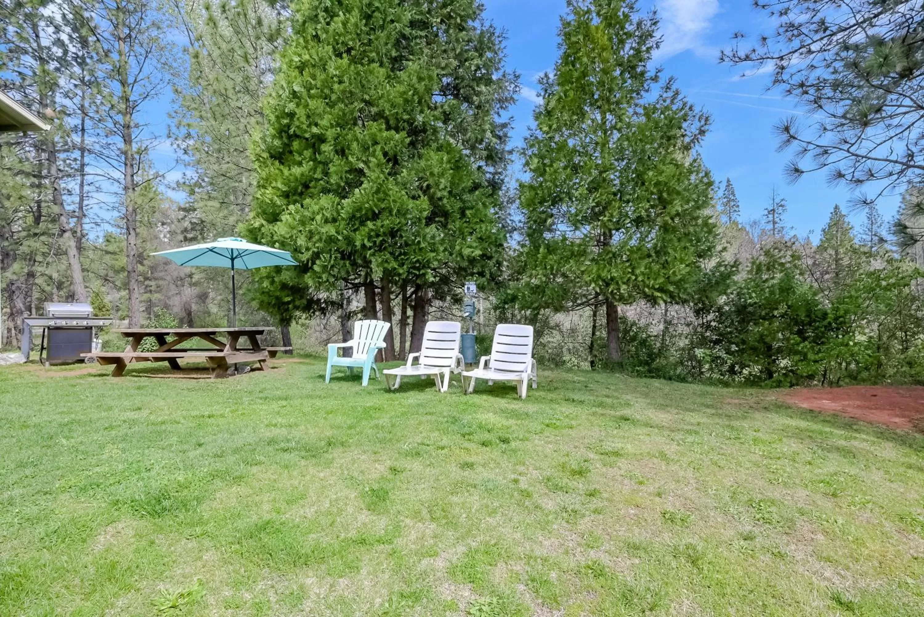 BBQ facilities in Brownsville Motel