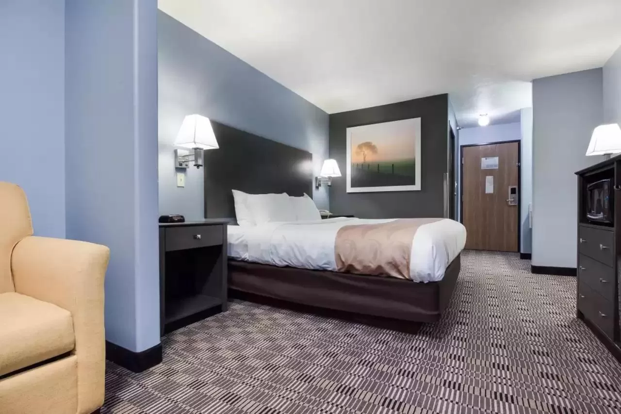 Superior King Room in Quality Inn & Suites