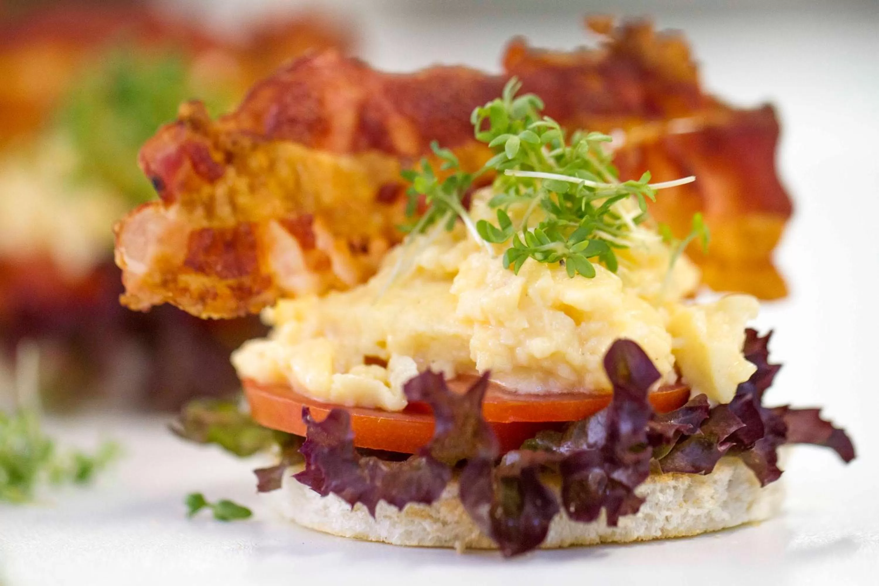 Breakfast in Falk Seehotel Plau am See