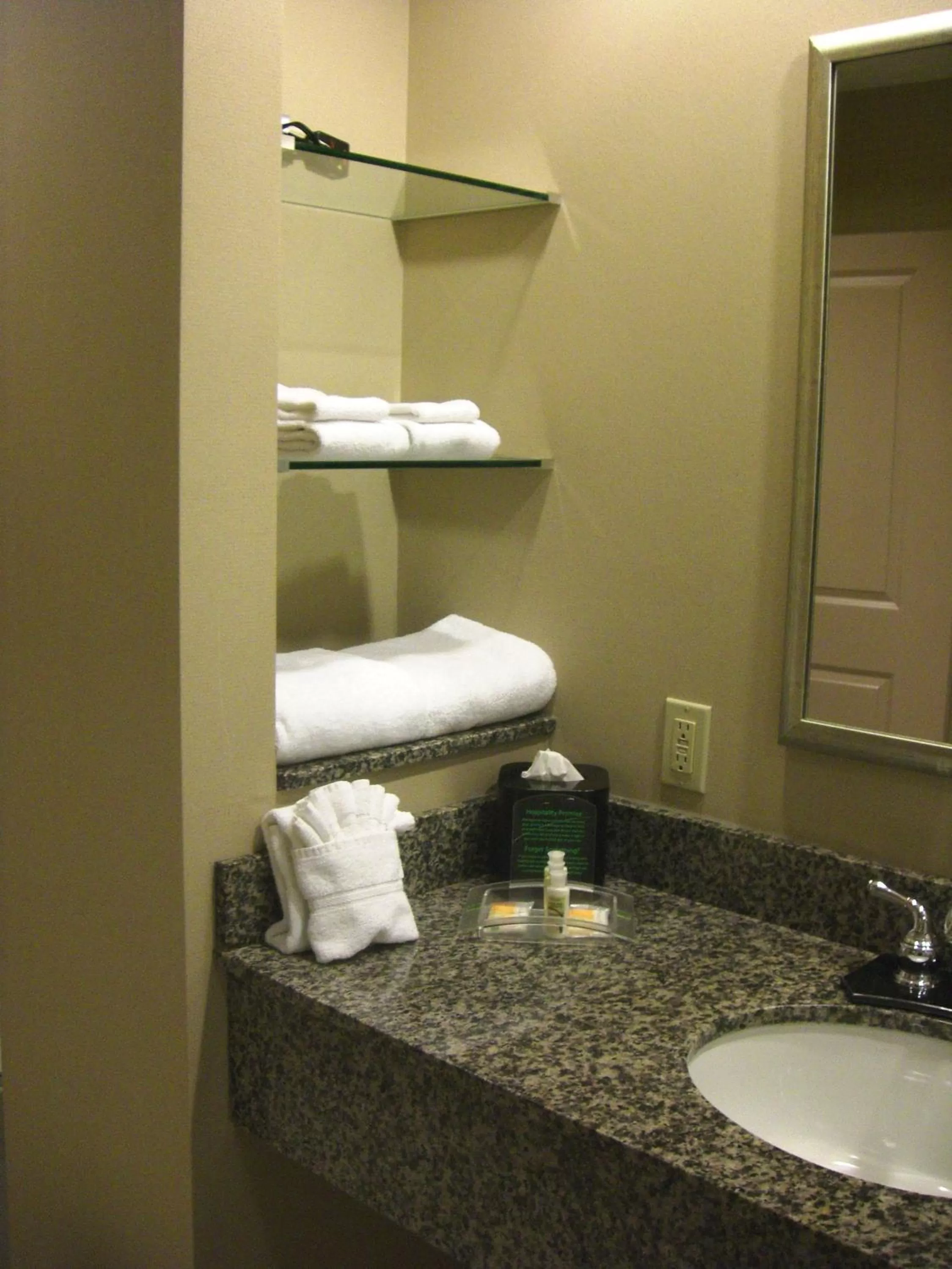 Bathroom in Holiday Inn St. Paul Northeast - Lake Elmo by IHG