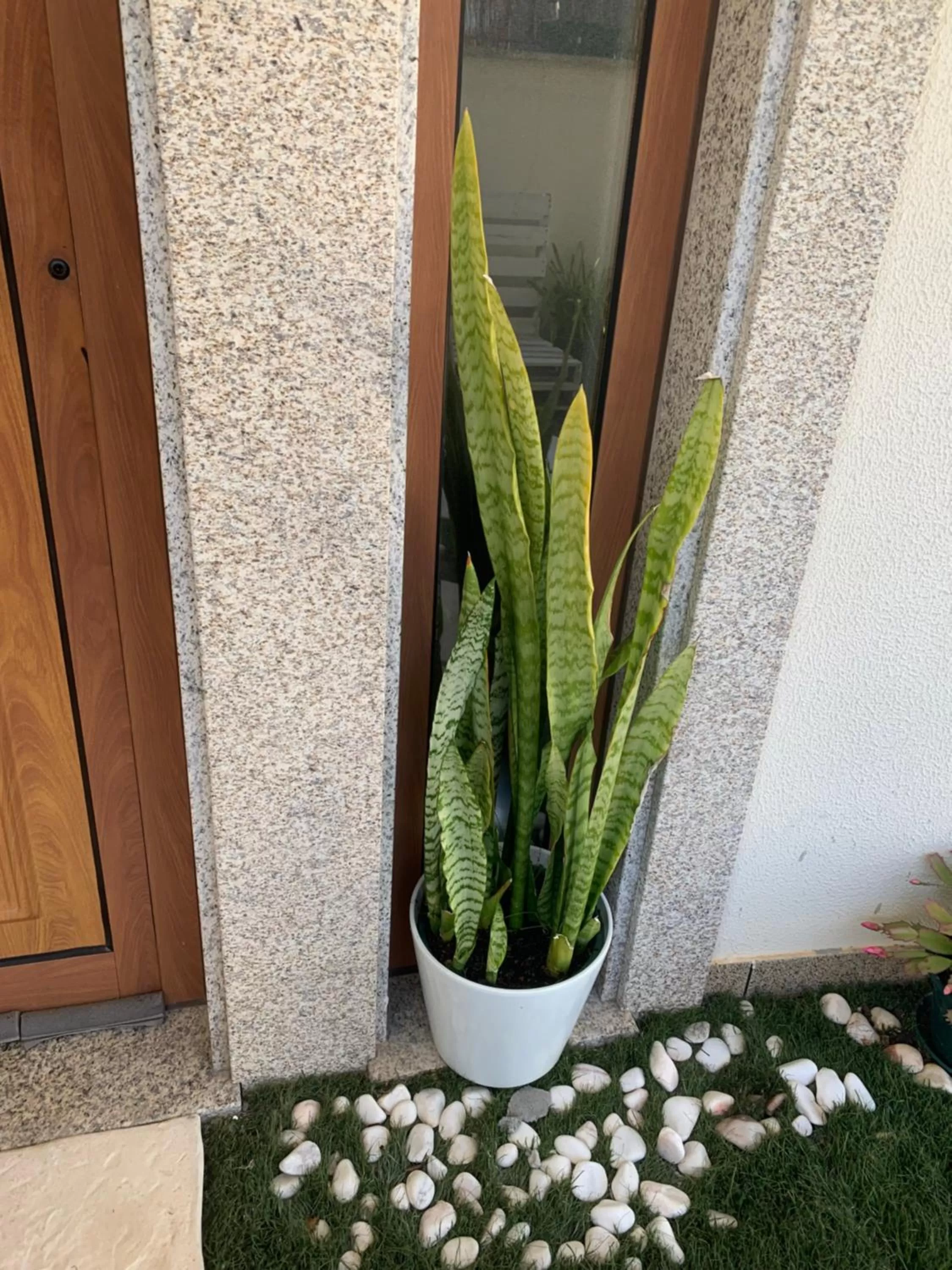 Garden in Deluxe Studio com terraço e varanda privada - 'Casinha da Amoreira' Guesthouse