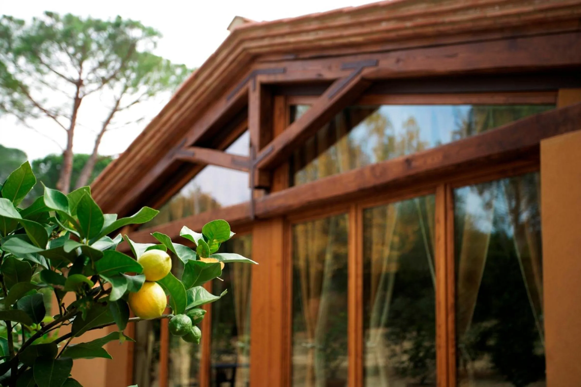 Facade/entrance in Borgo San Benedetto
