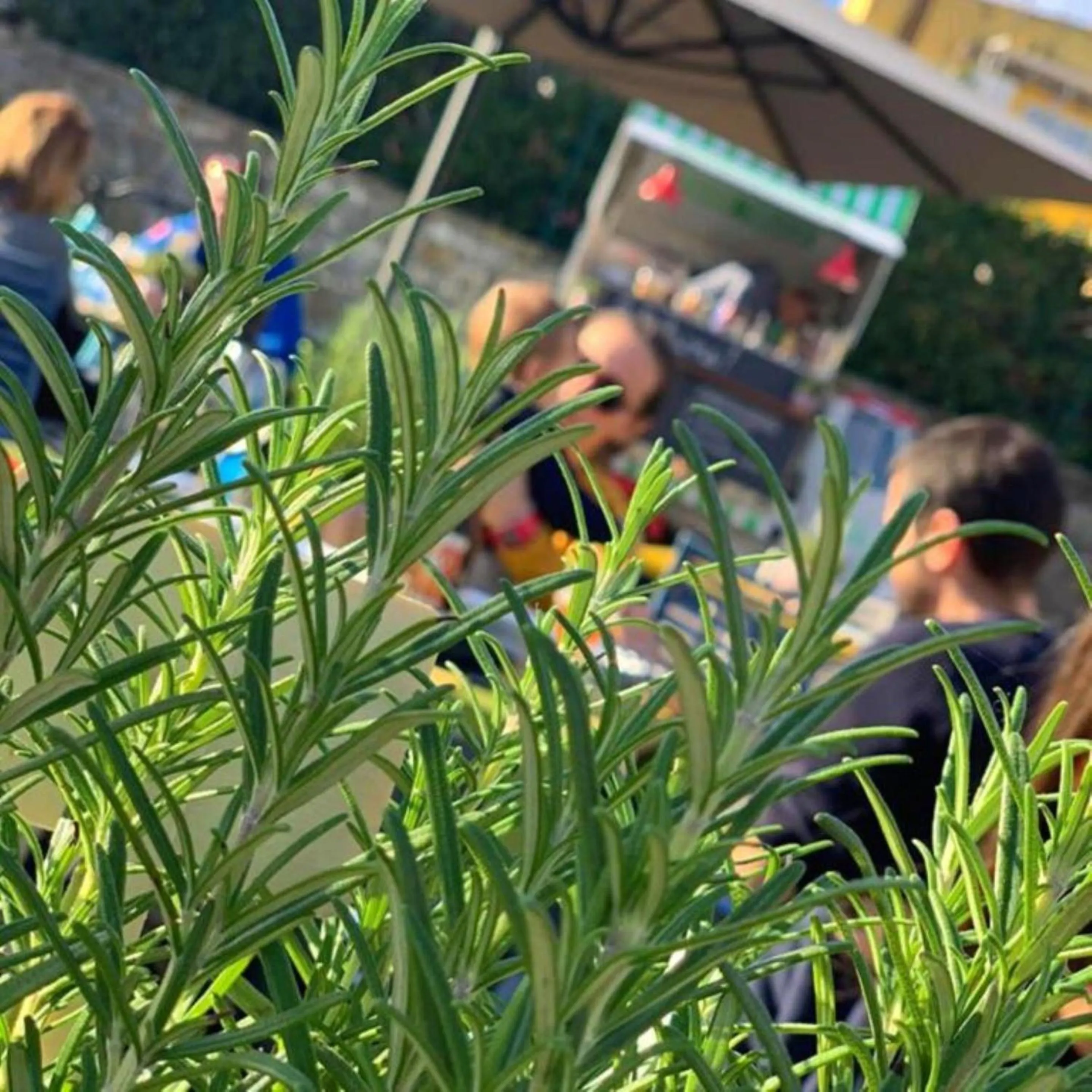 Property building in Best Western Hotel Anthurium