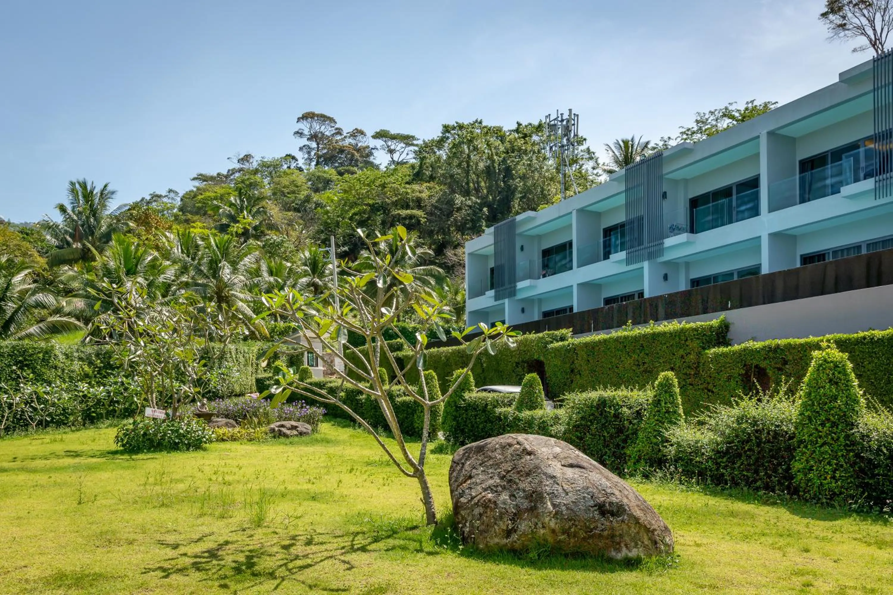 Garden in Patong Bay Hill