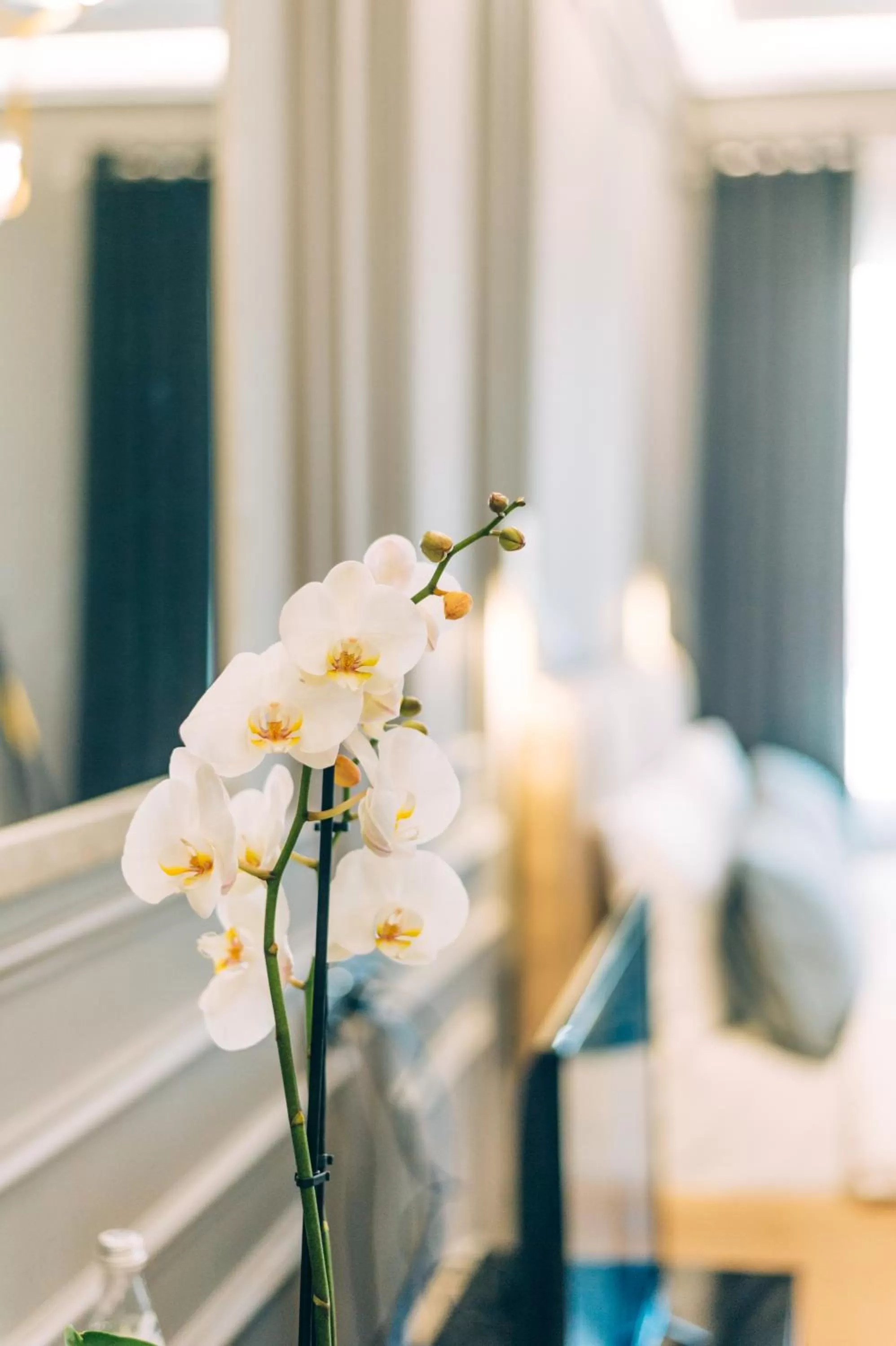 Bed in Hotel Stela Center