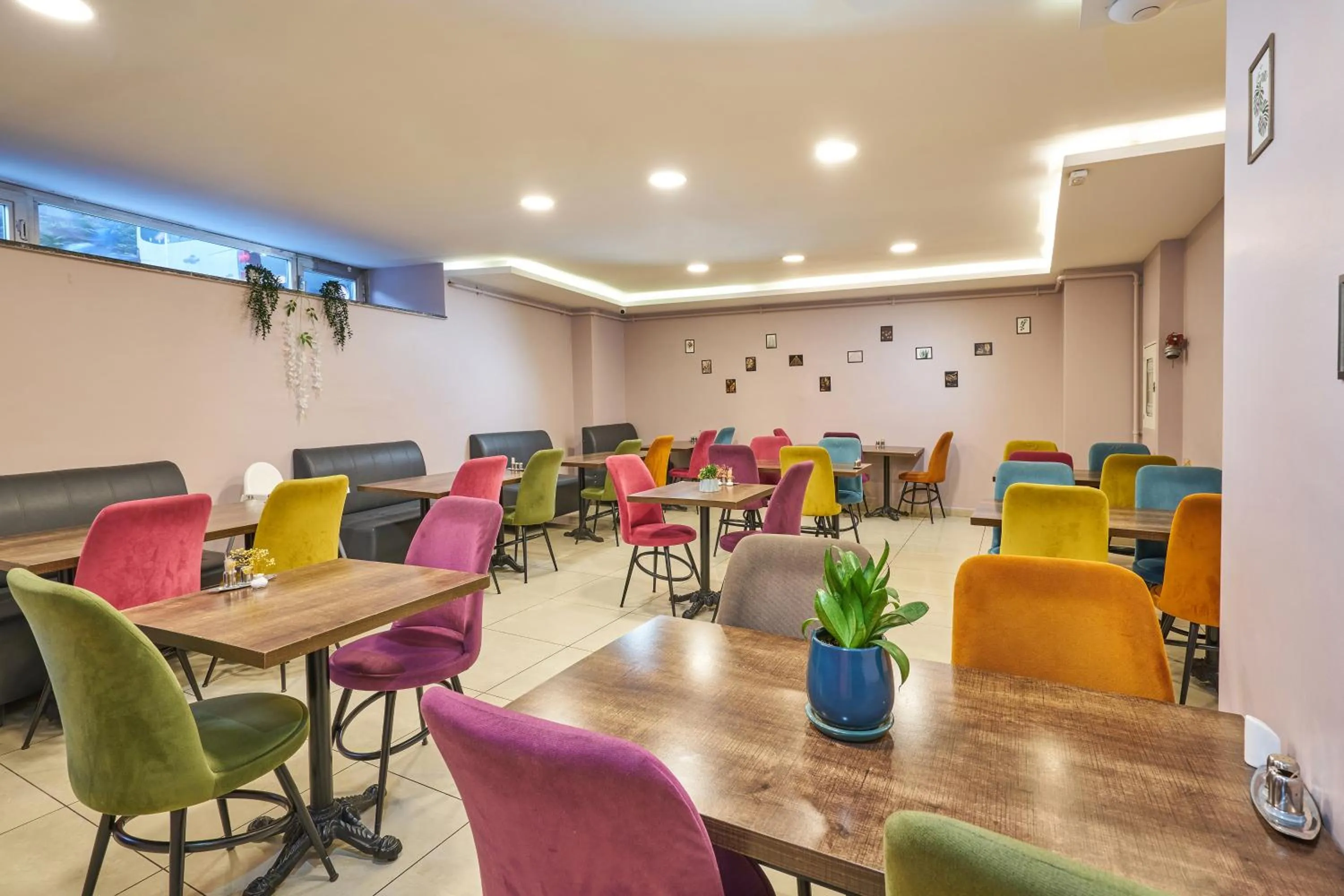 Restaurant/places to eat in Atro Hotel