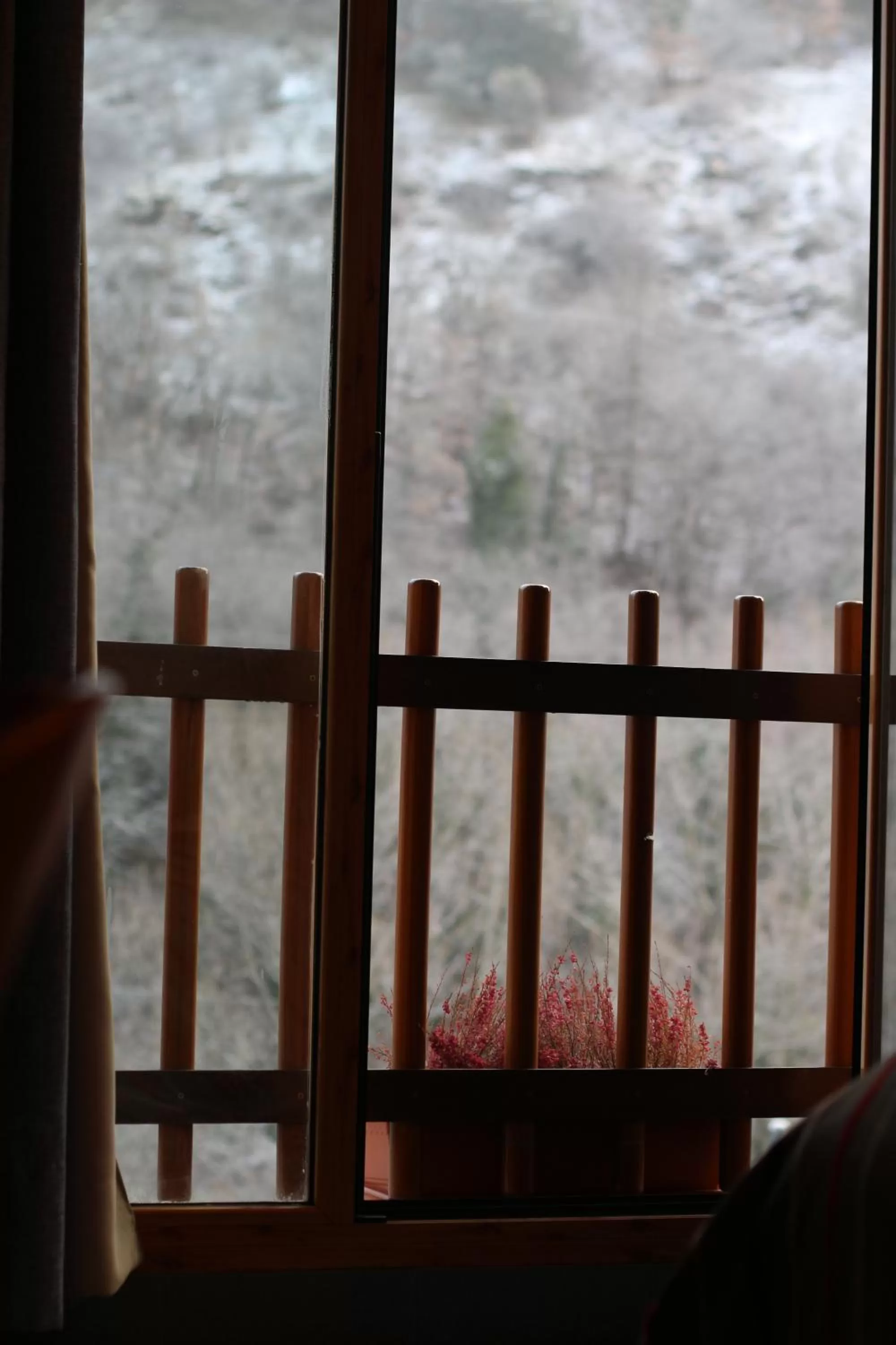 Winter in Hotel Restaurant Les Brases