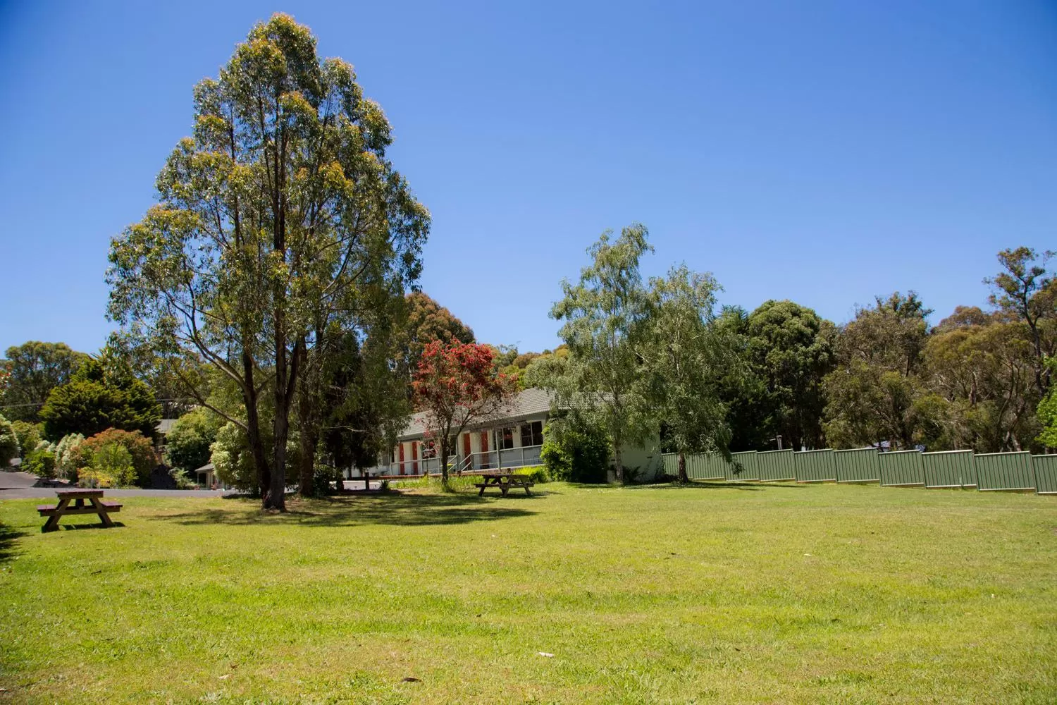 Day in Black Forest Motel