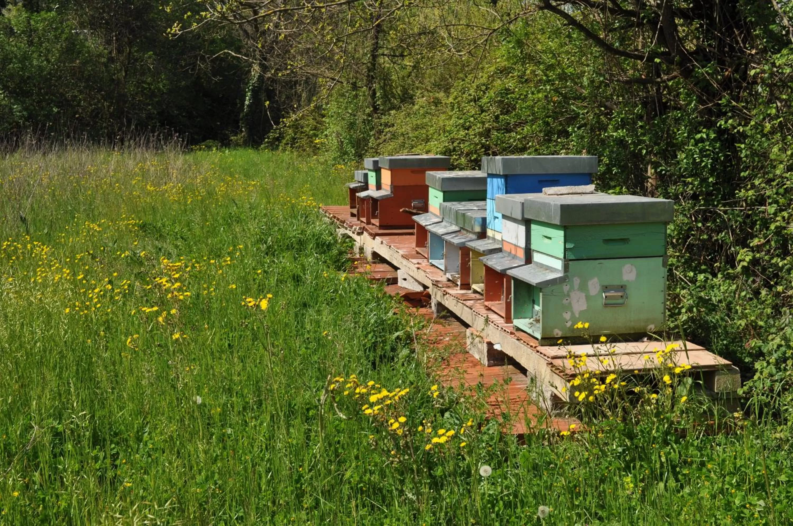 Karaoke in Armonie di Villa Incontri B&B