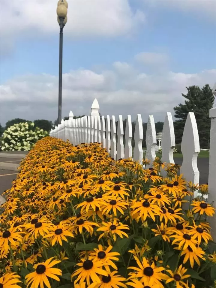 Garden view in Carlisle Inn Walnut Creek