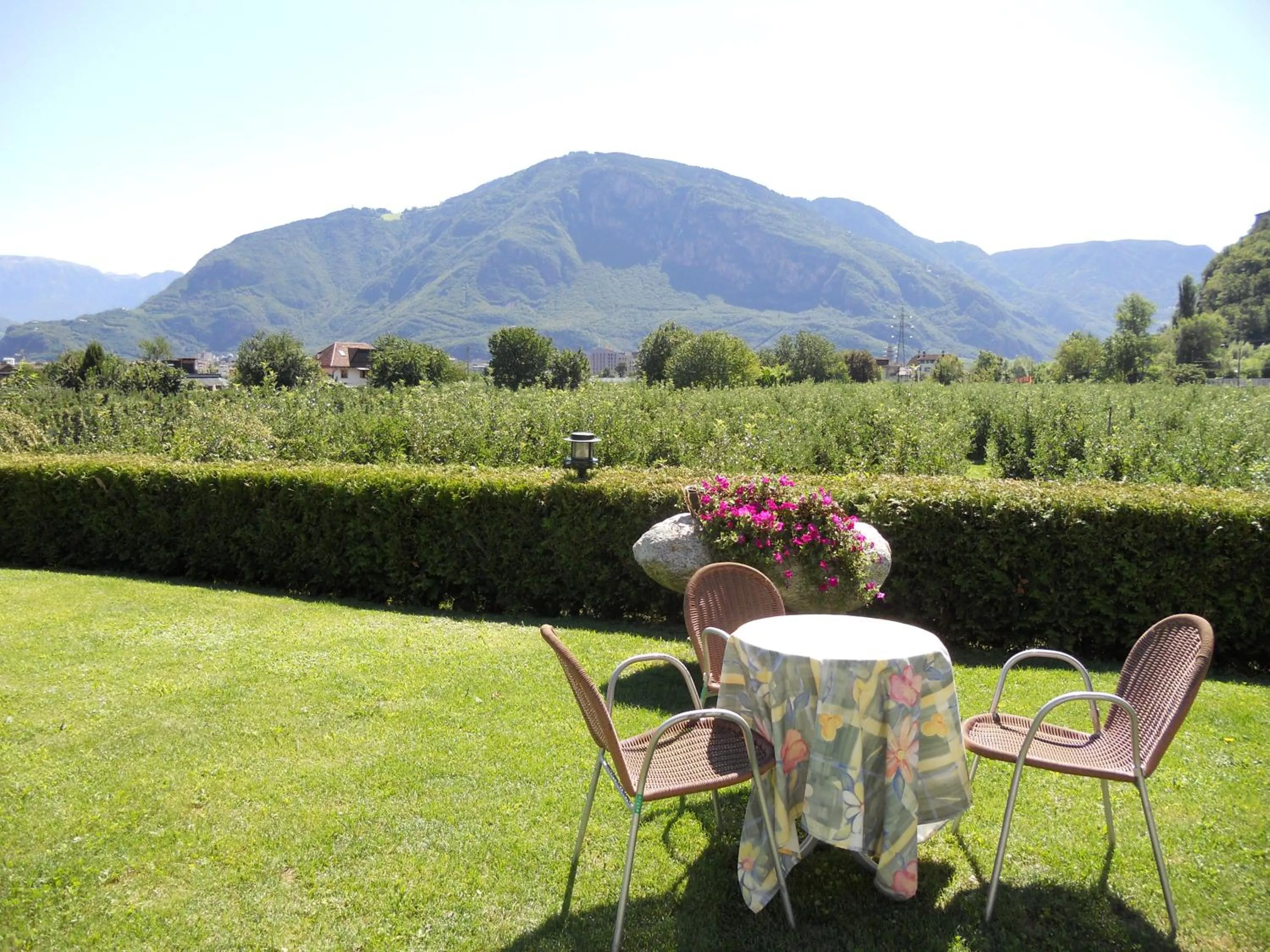 Garden in Gardenhotel Premstaller