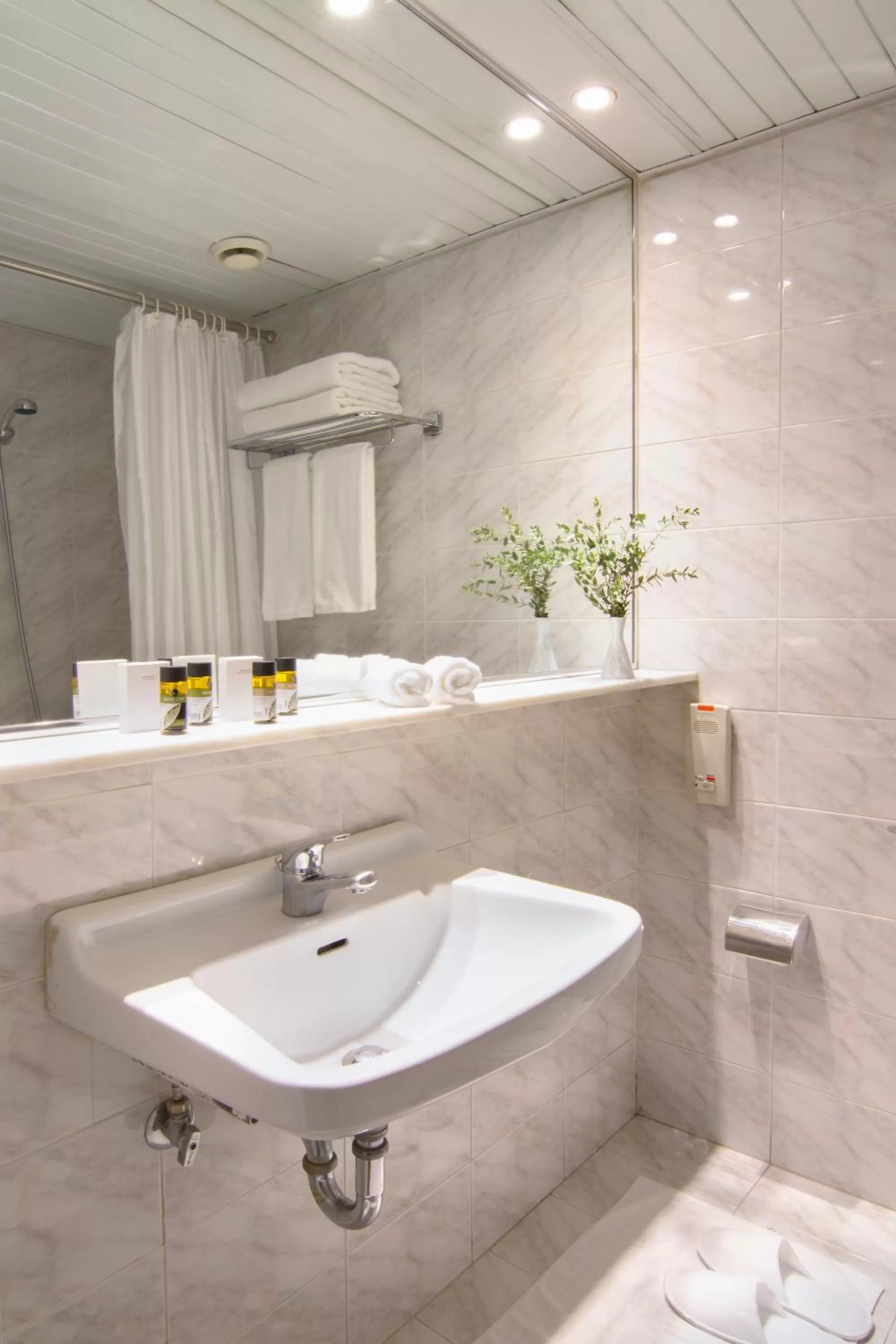 Bathroom in Titania Hotel