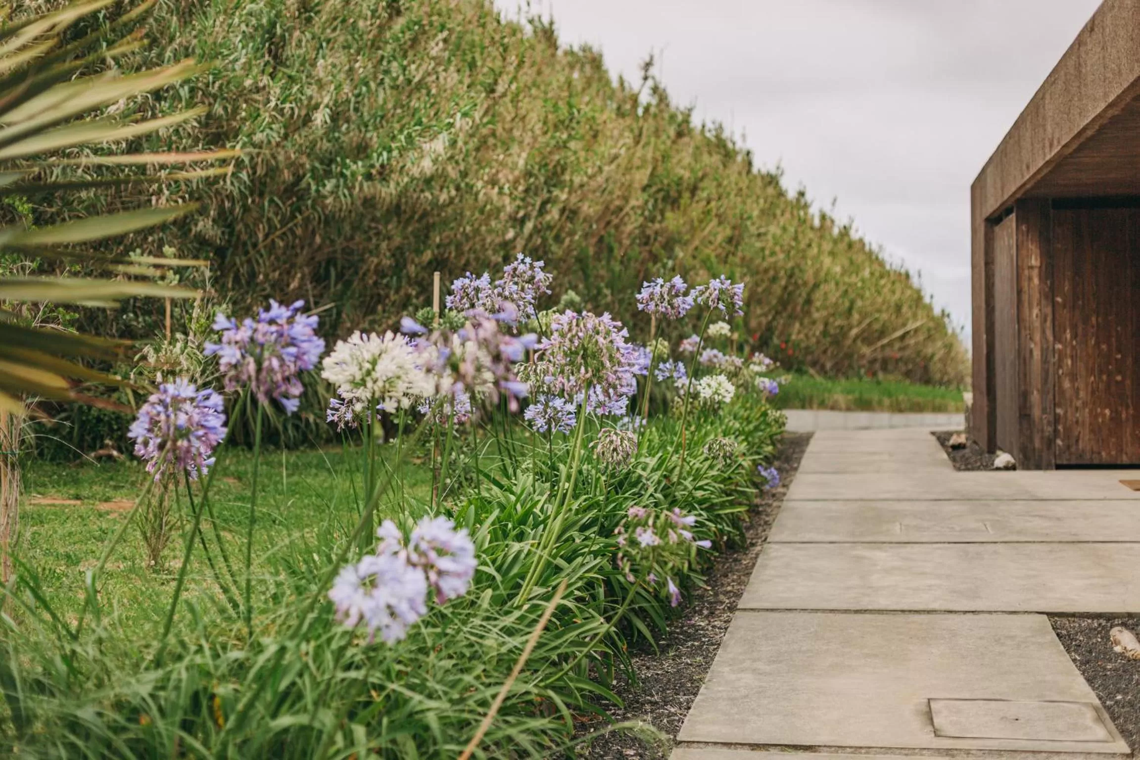 Garden view in Santa Barbara Eco-Beach Resort