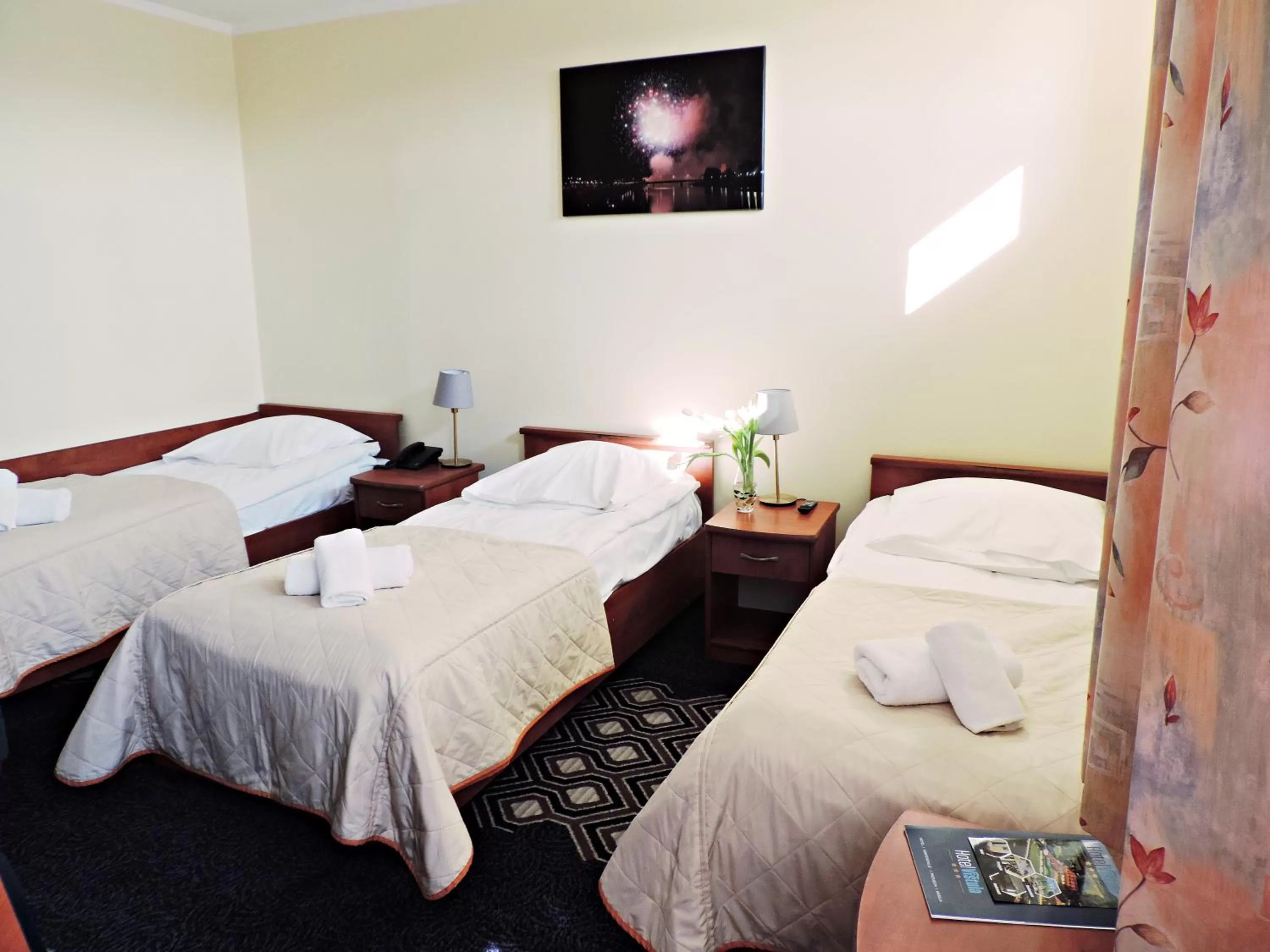 Triple Room in Hotel Vistula