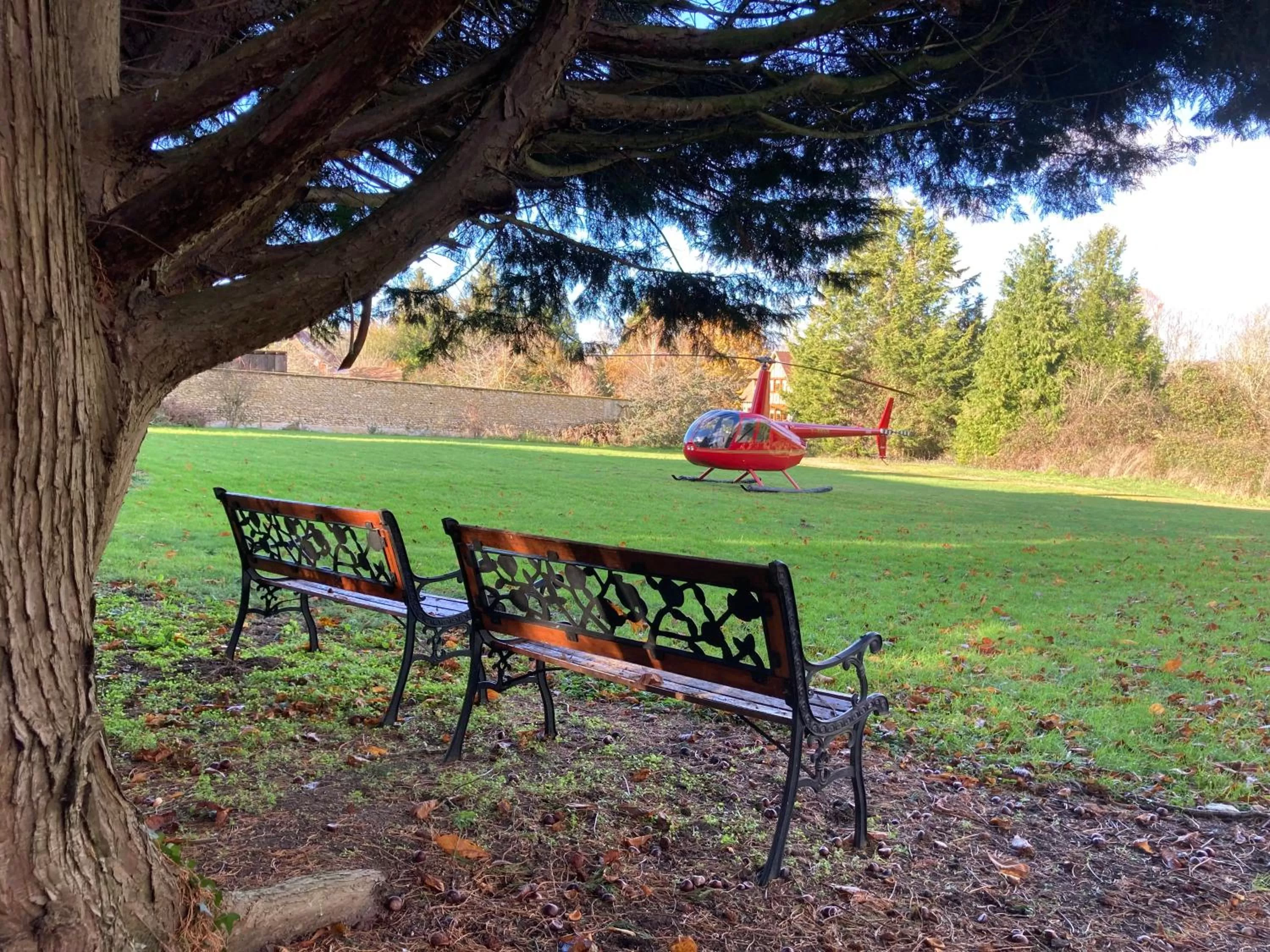 Garden in Château Corneille