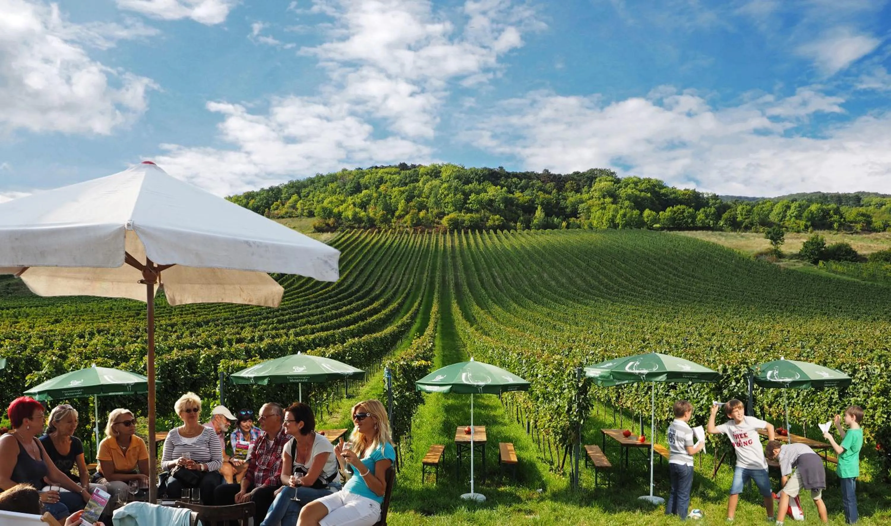 Natural landscape in Hotel Landhaus Moserhof