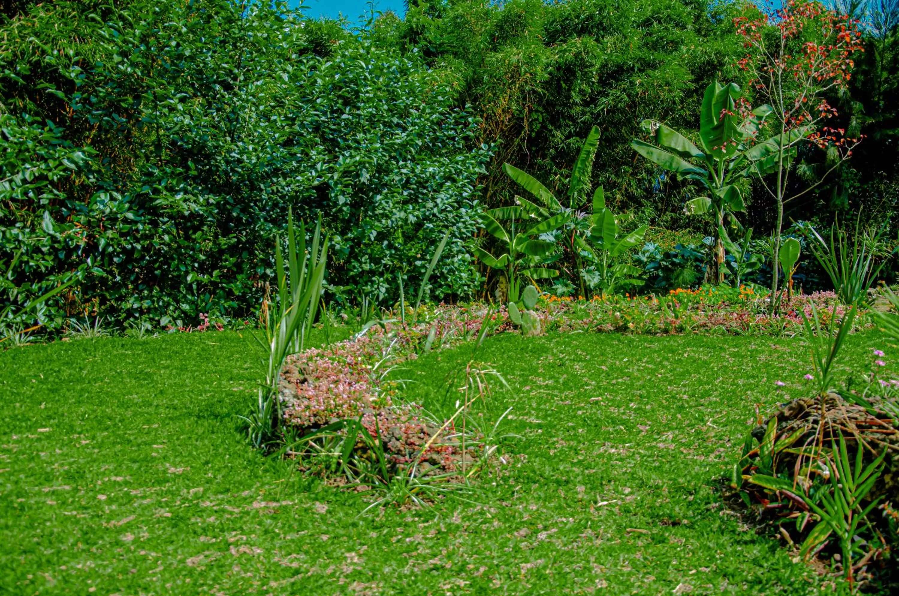Garden in Fravan Eco Resort By Apogee