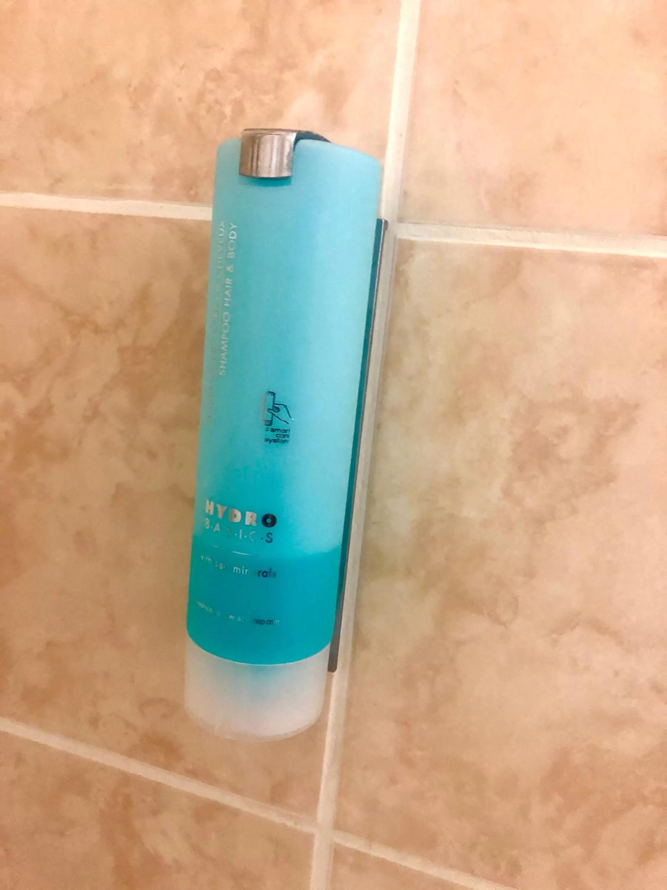 Hostellerie de L'Hôtel de Ville