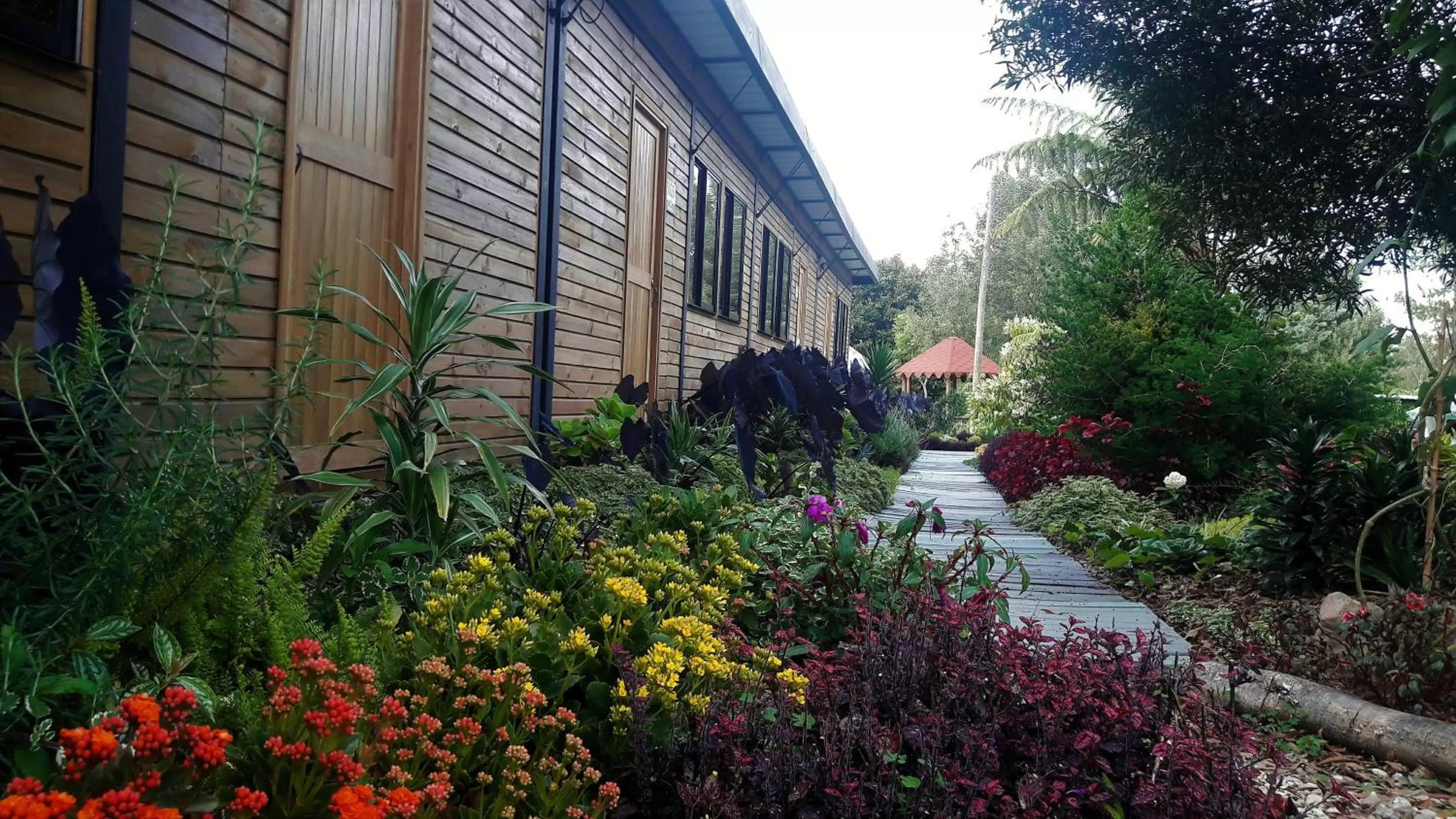 Garden, Property Building in ALTO LODGING Centro de Entrenamiento Deportivo y Negocios, a 2 pasos del Aeropuerto JMC, Transporte Incluido