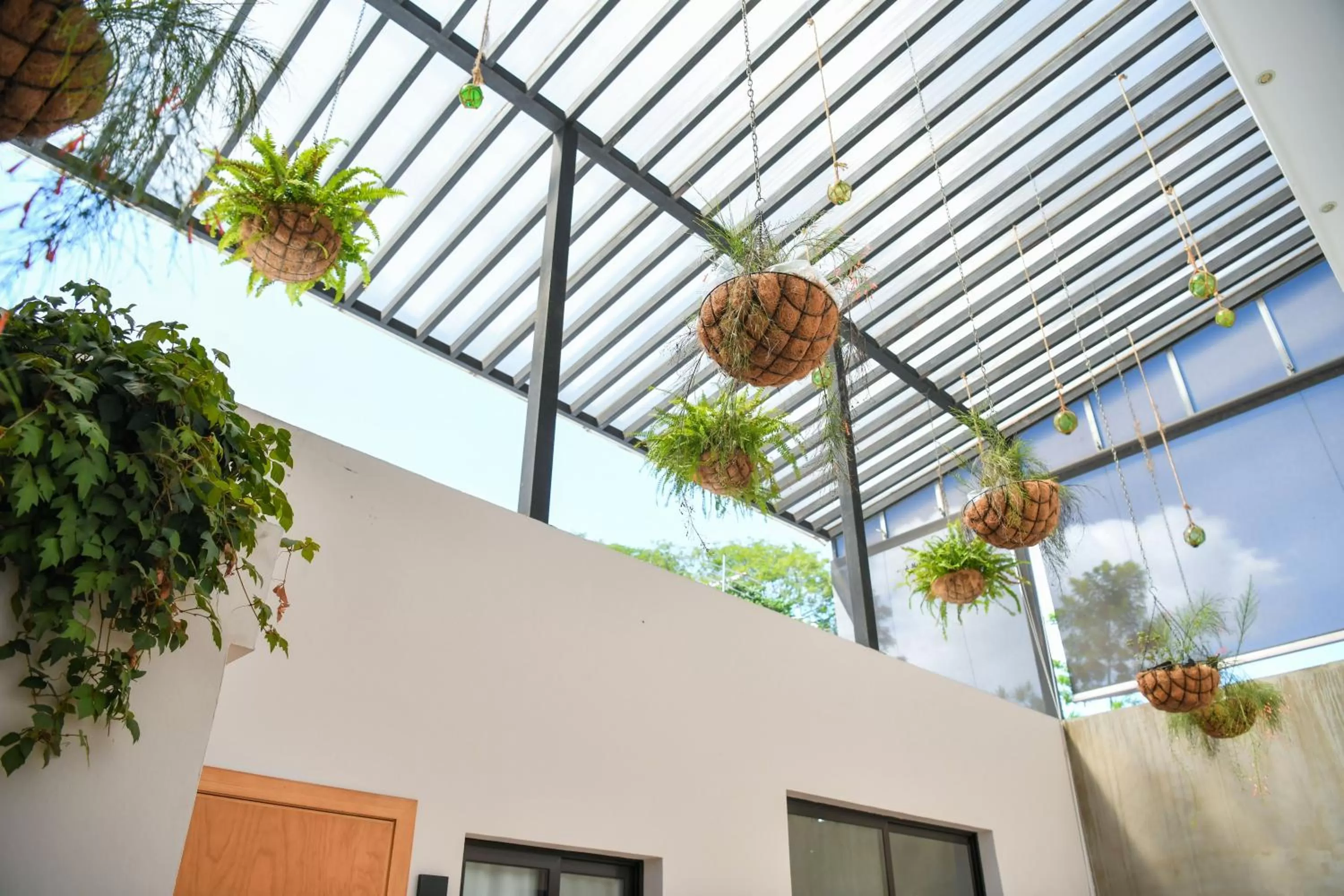 Area and facilities in Kaleo Hotel Boutique