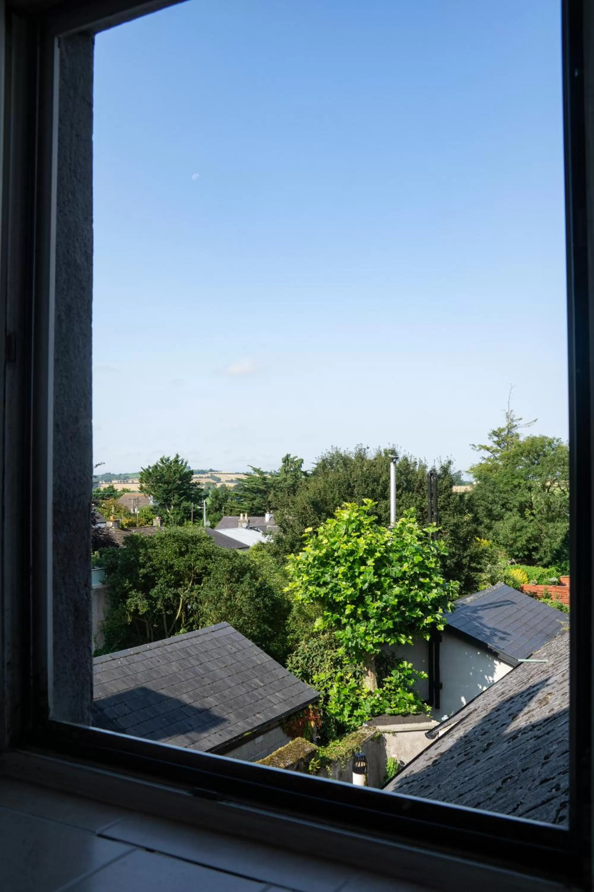 Garden view in Tynte House