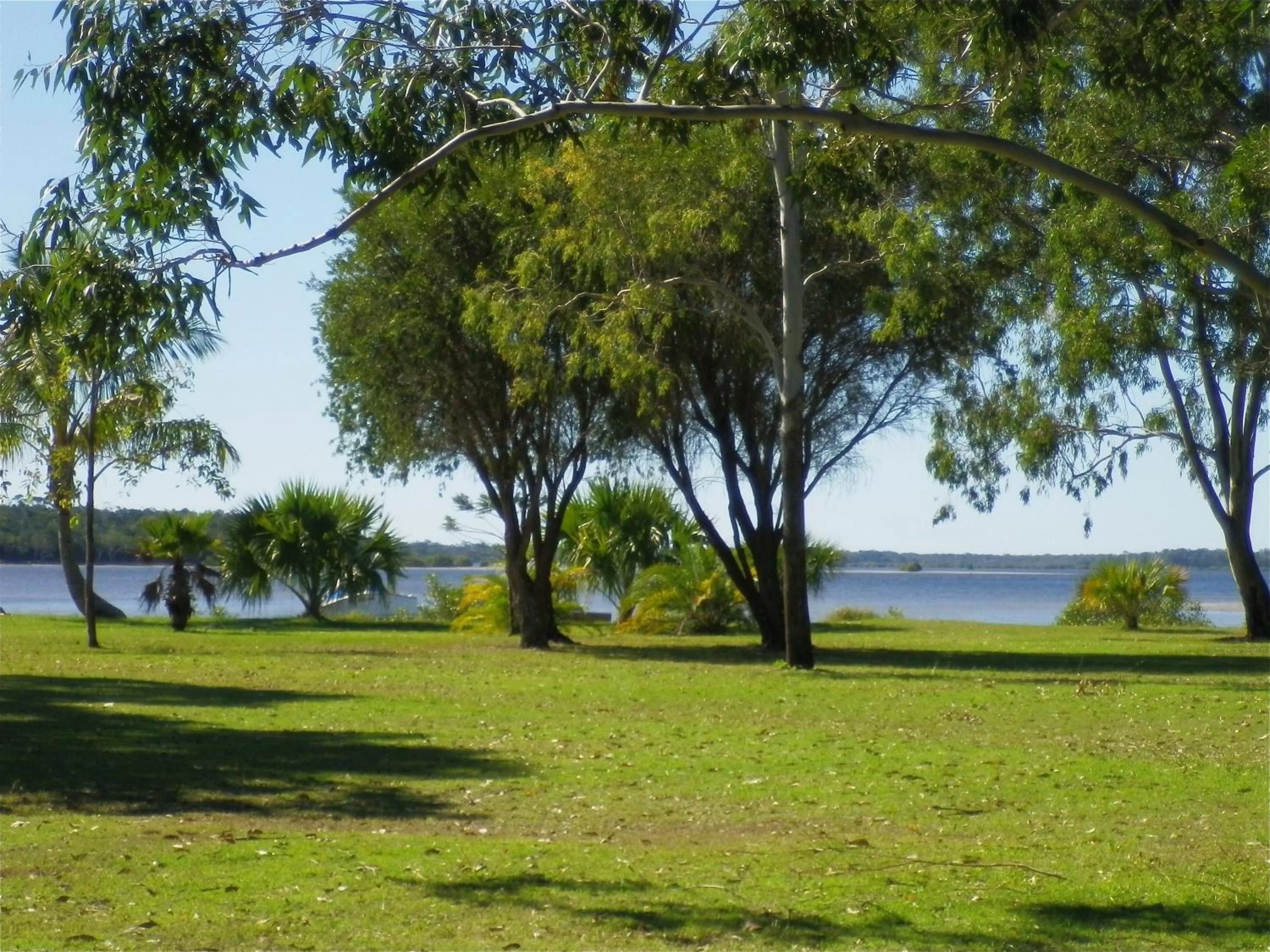 Natural landscape in Tin Can Bay's Sleepy Lagoon Motel