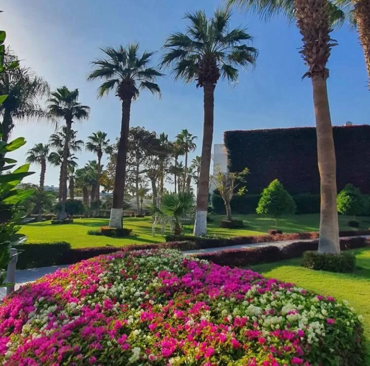 Day in Monte Carlo Sharm Resort & Spa