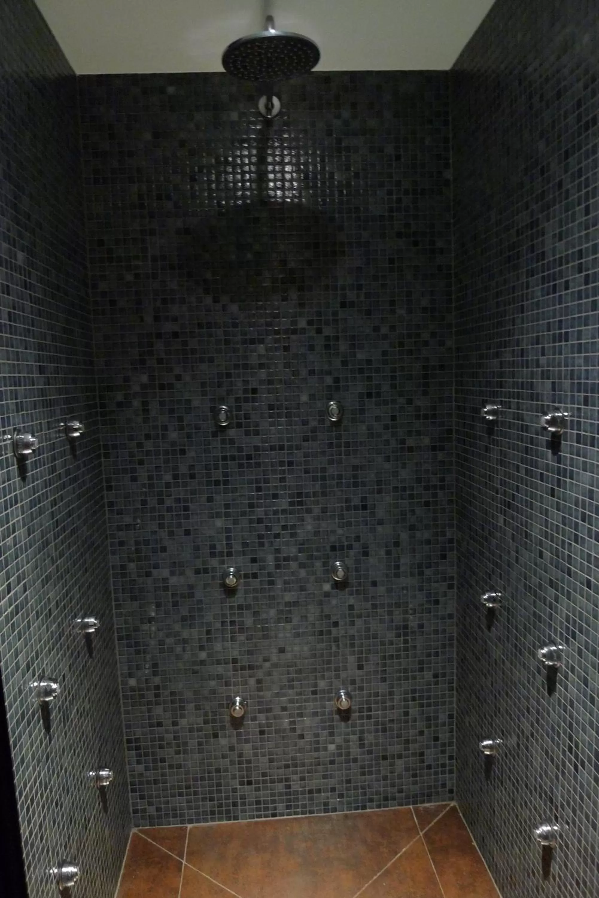 Shower in Hotel & SPA Niunit