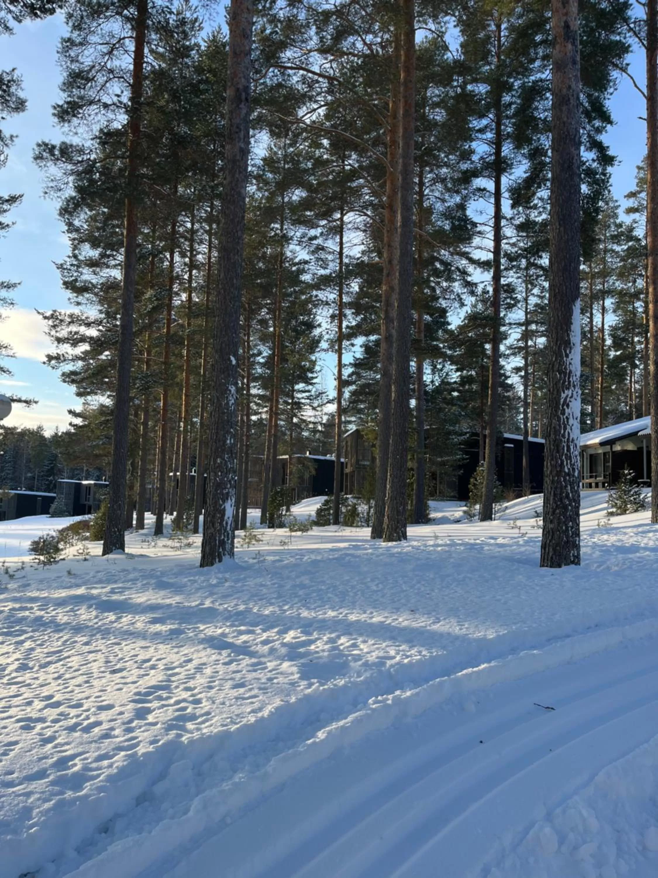 Winter in Saimaanranta Resort by Anttolanhovi