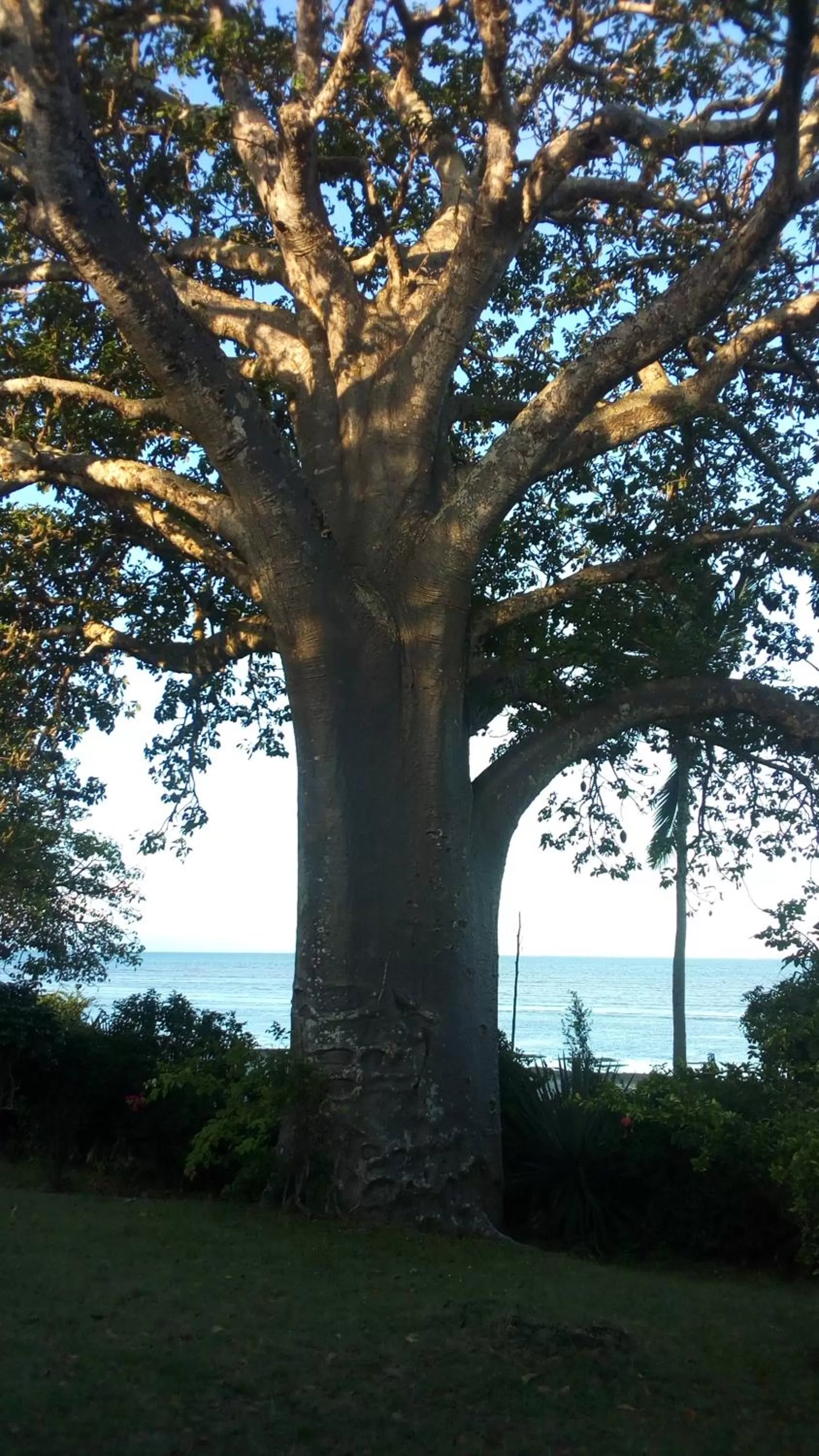 Text overlay in Bahari Pori Resort