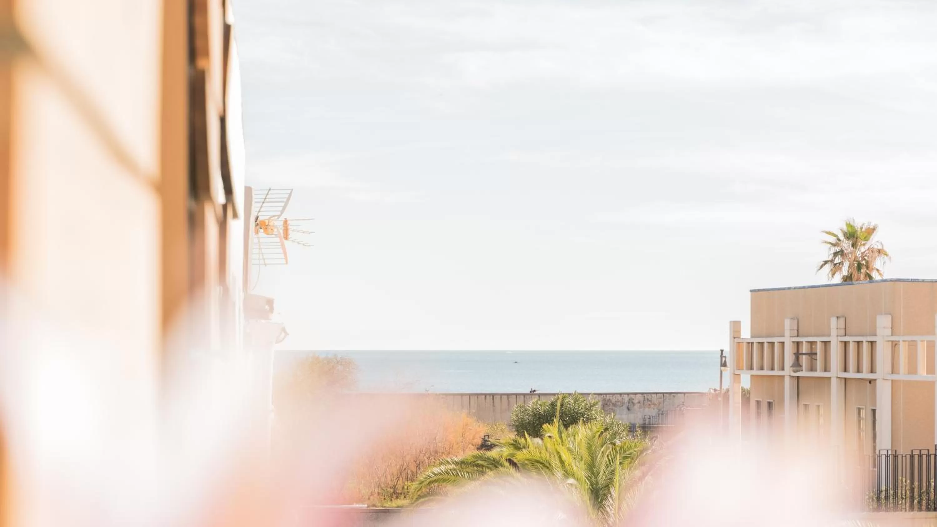 Nearby landmark in Banana Beach Patacona