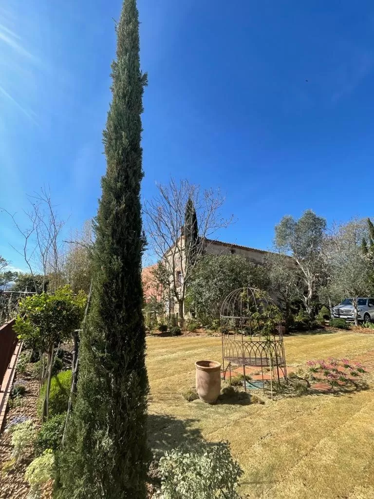 Spring in Le Mas de la Prade