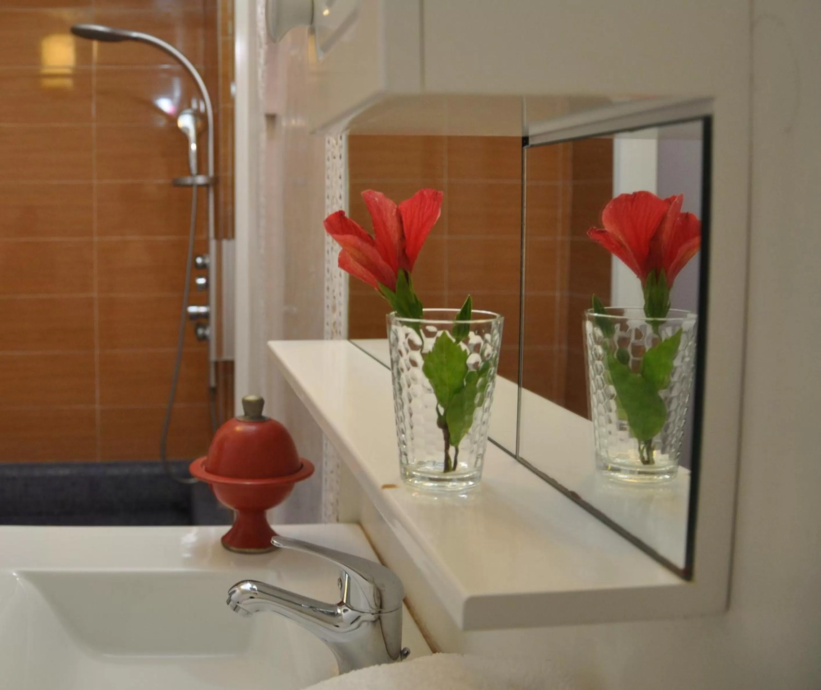 Shower in Riad Hamdani