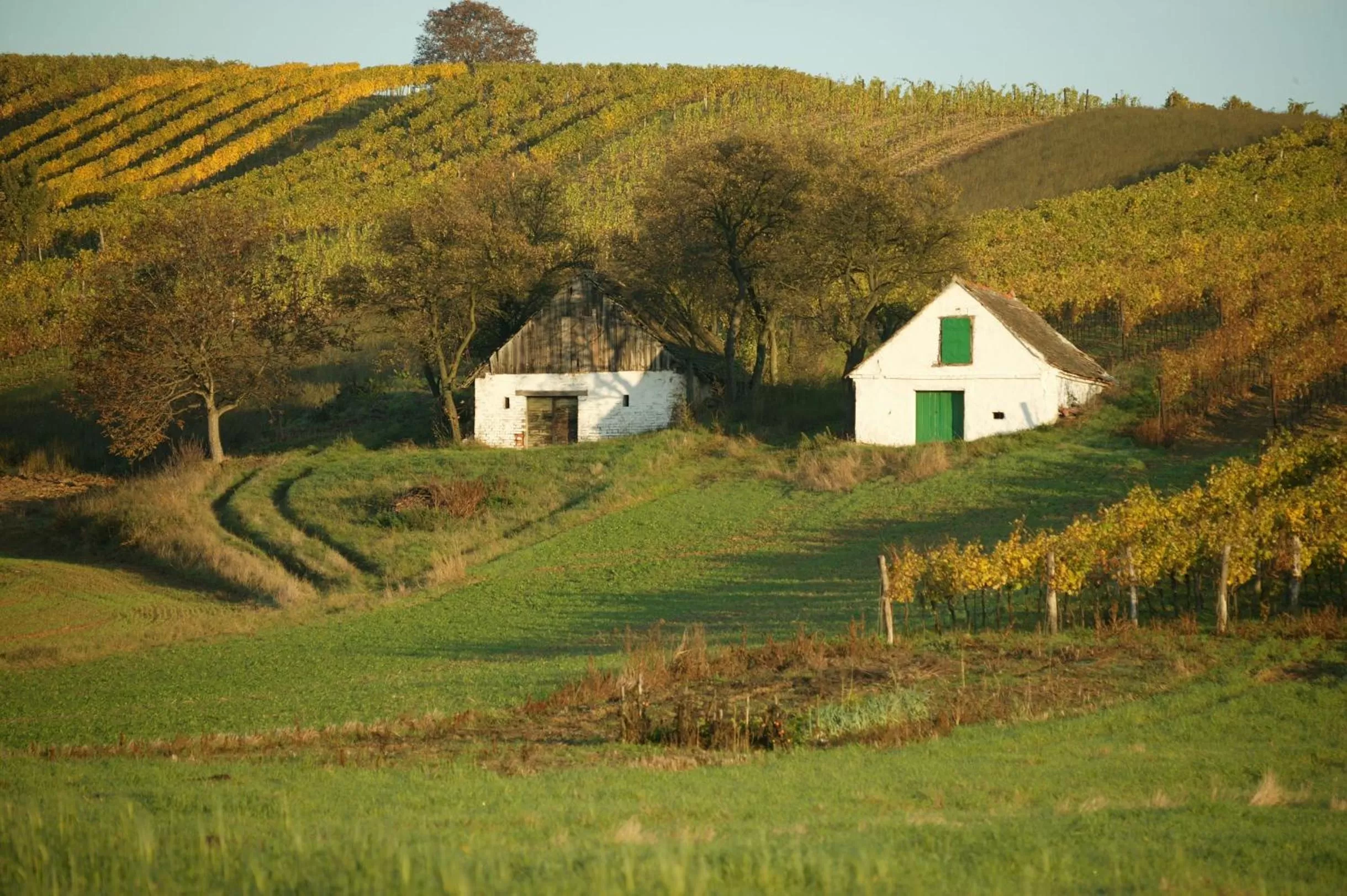 Hiking in Hotel Neustifter