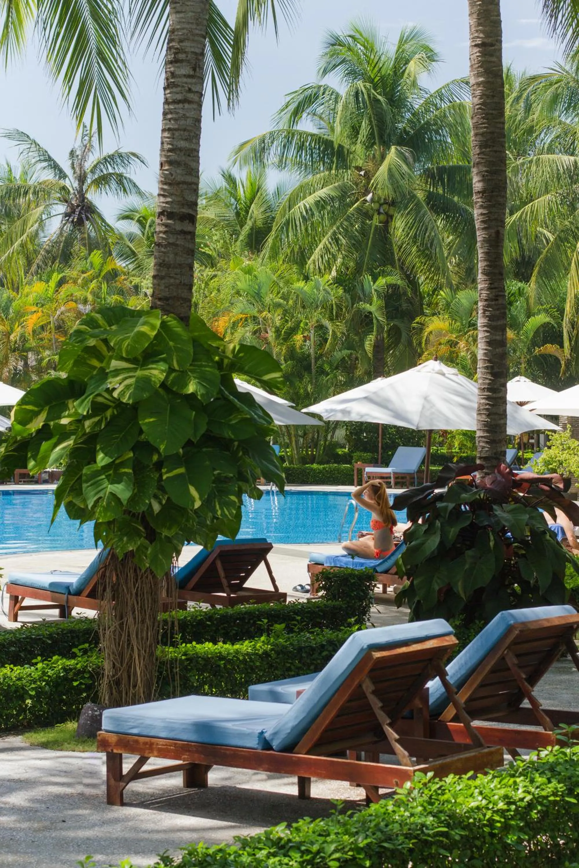 Swimming pool in Blue Ocean Resort