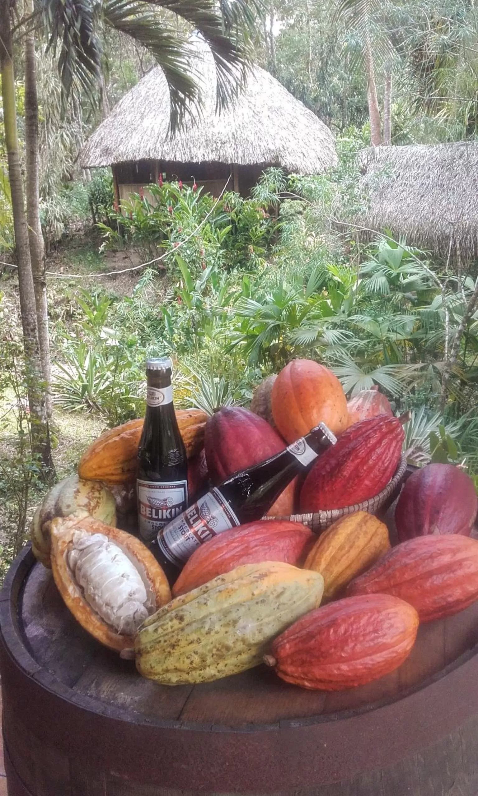 Garden in Sun Creek Lodge