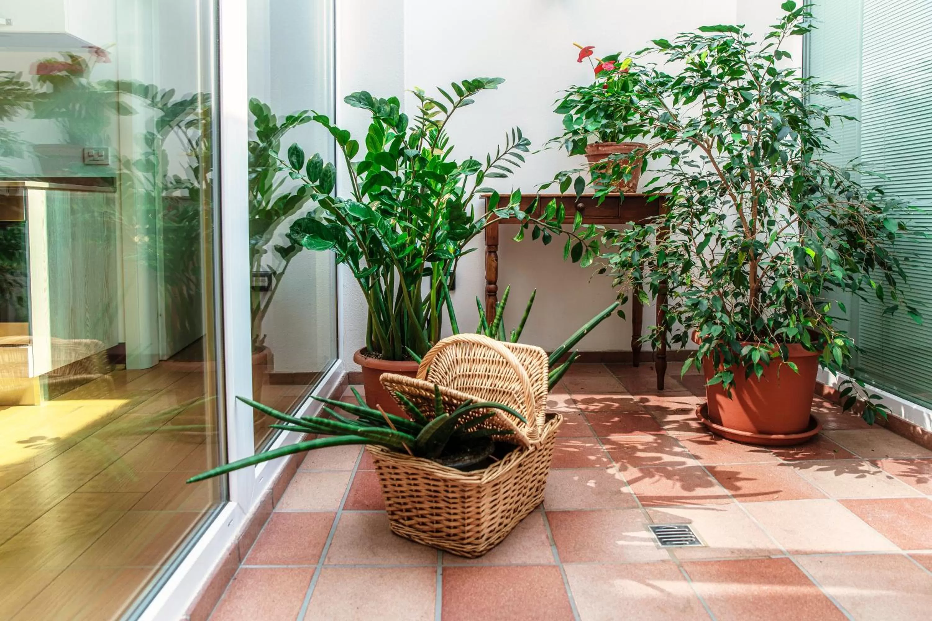 Patio in Castello di Brusata Apartment