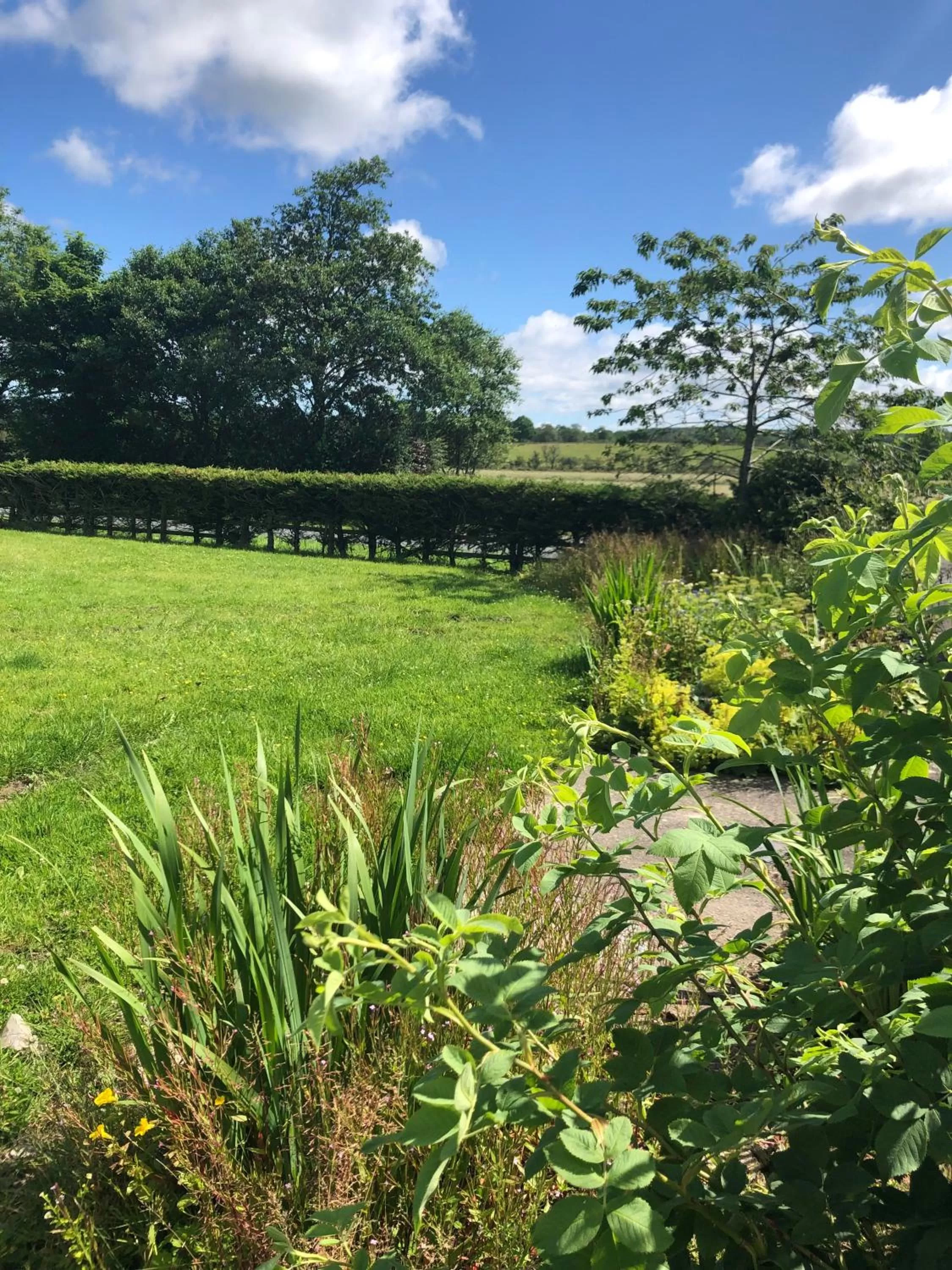 Garden in The Crossings