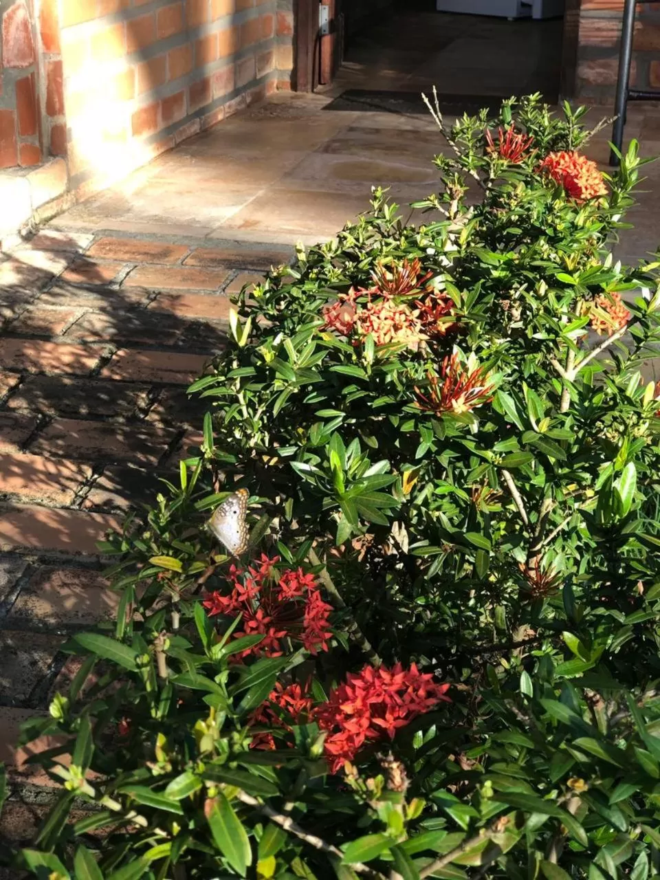 Garden in Pousada do Riacho