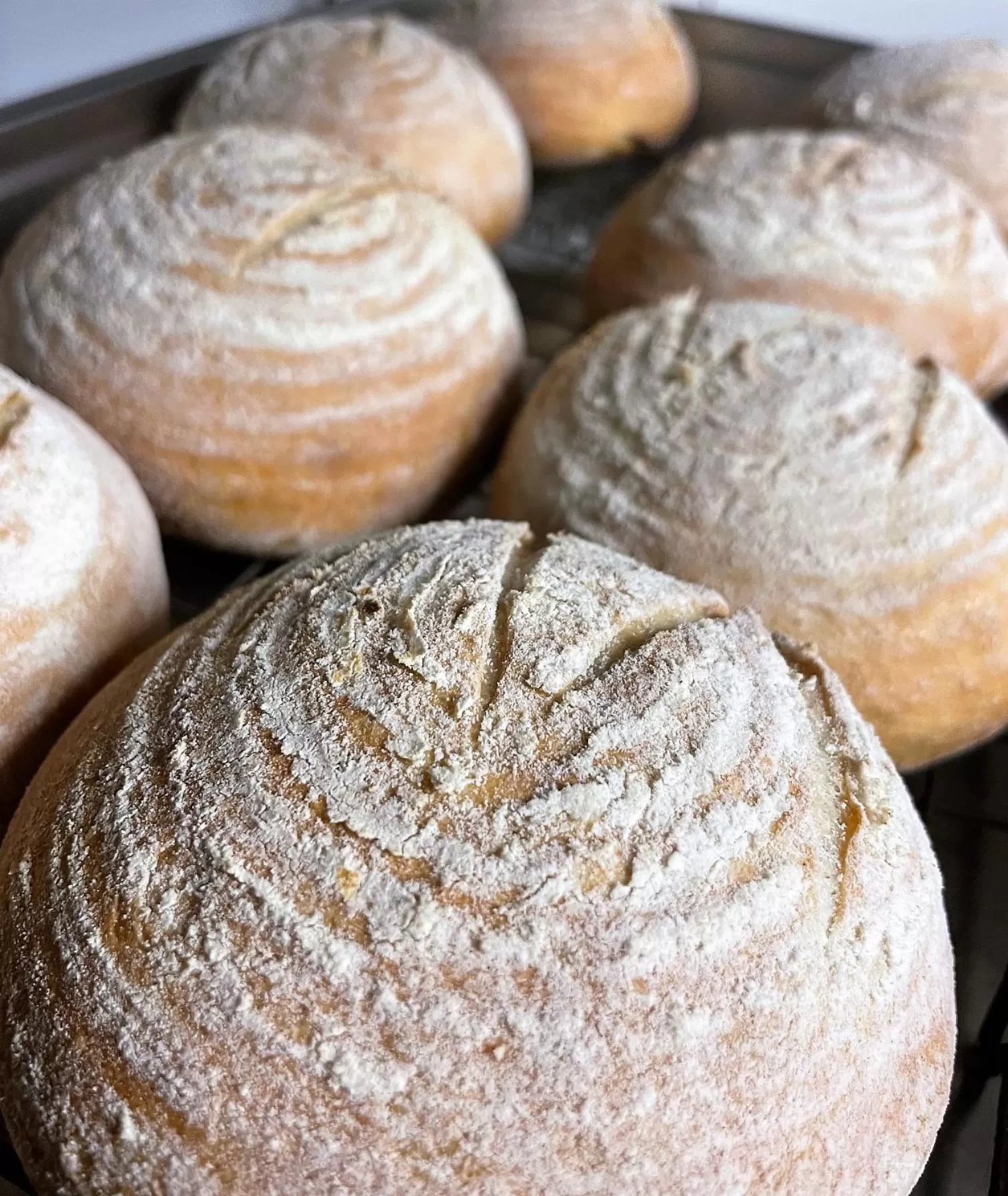 Food close-up in Craig-y-Dderwen Riverside Hotel