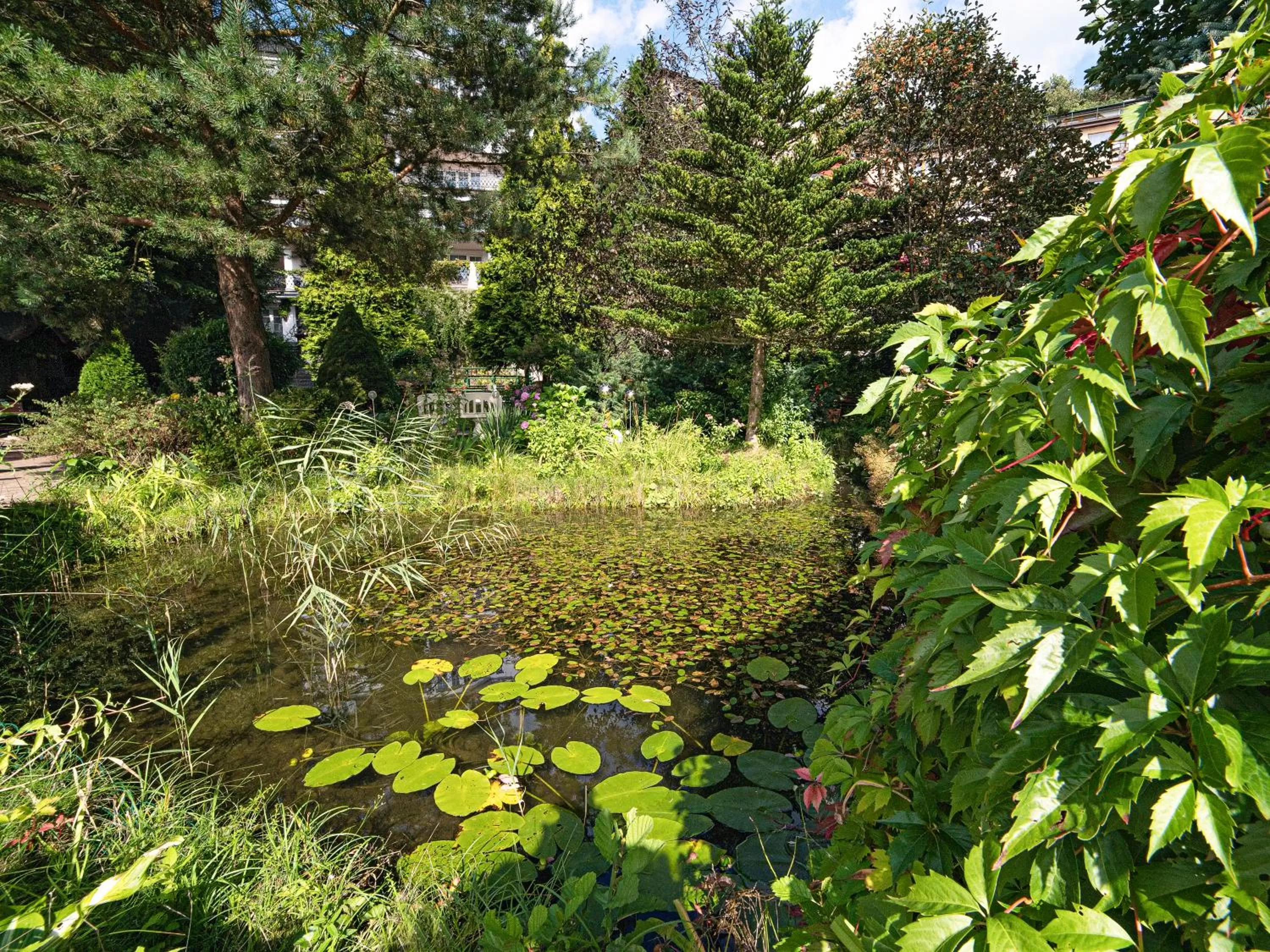 Spring in Hotel Solar Palace SPA & Wellness