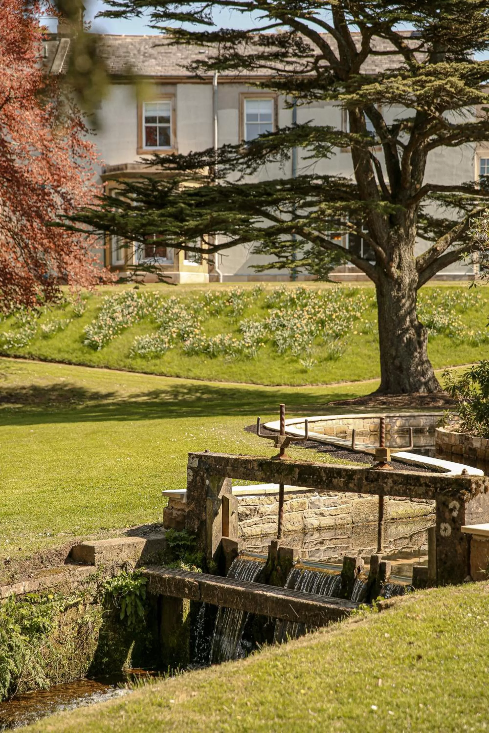Garden in Farlam Hall Hotel & Restaurant