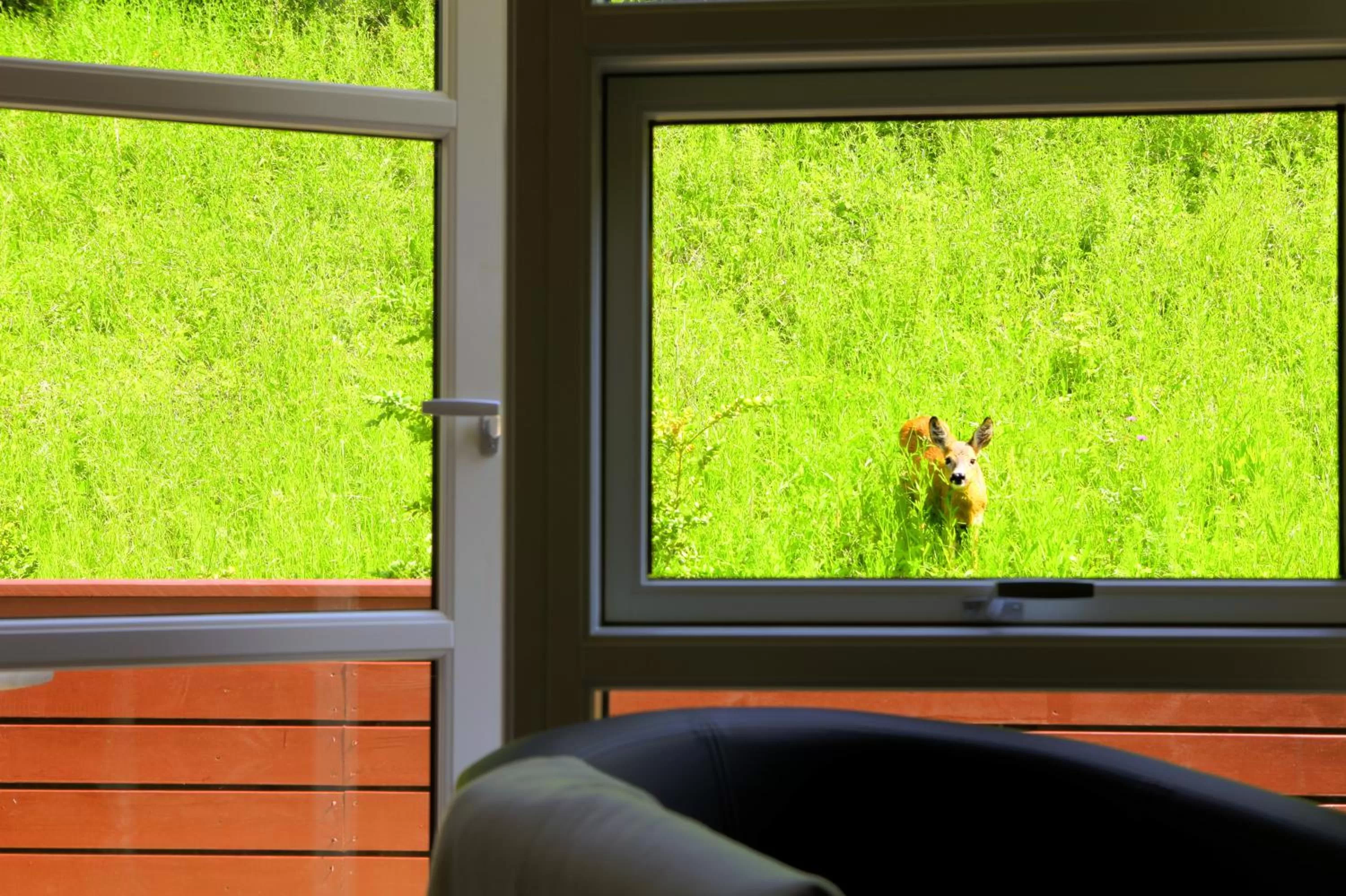 Garden view in Bromølle Kro