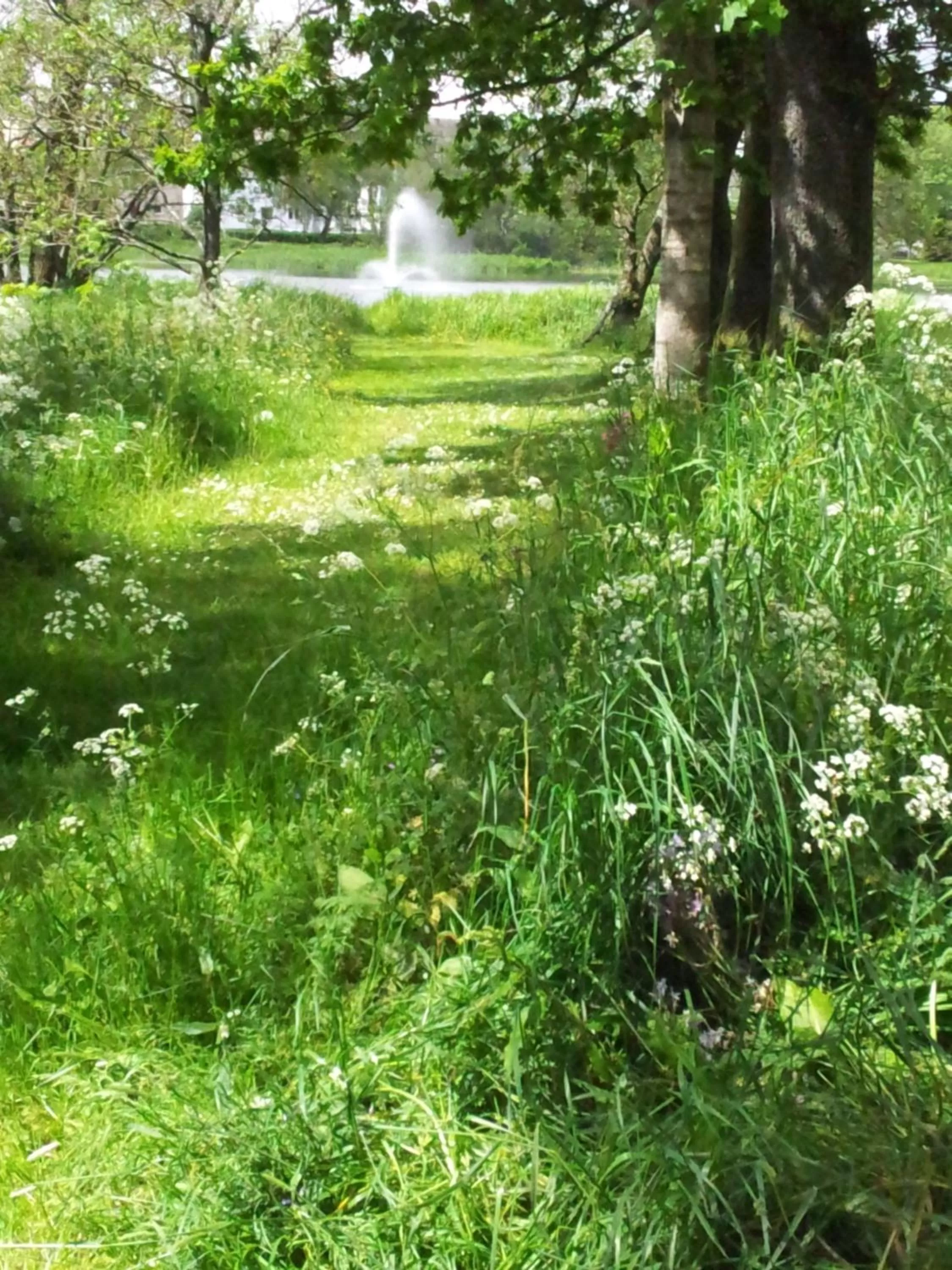 Natural landscape in Douglas House