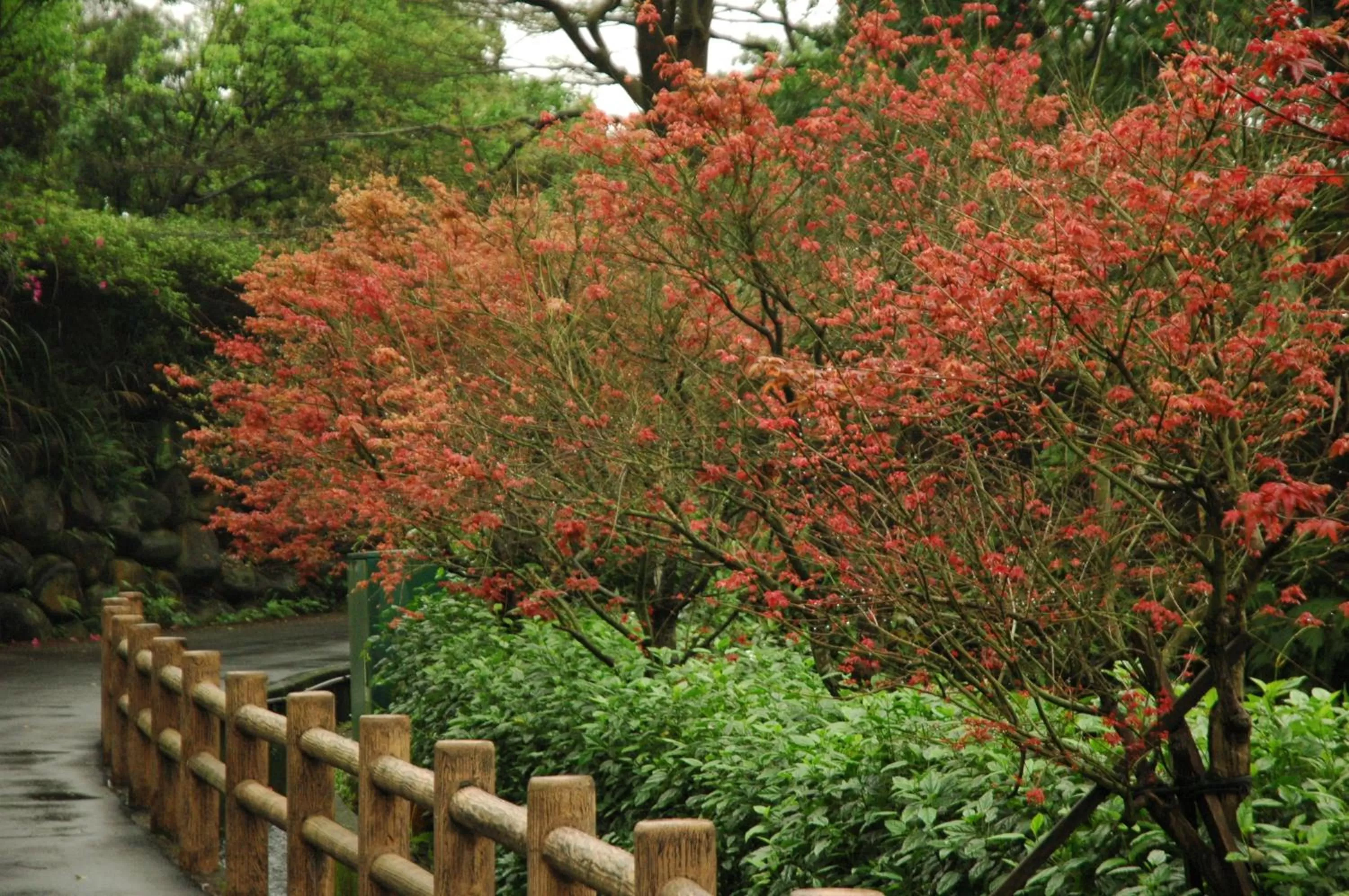 Garden in Rainbow Bridge B&B