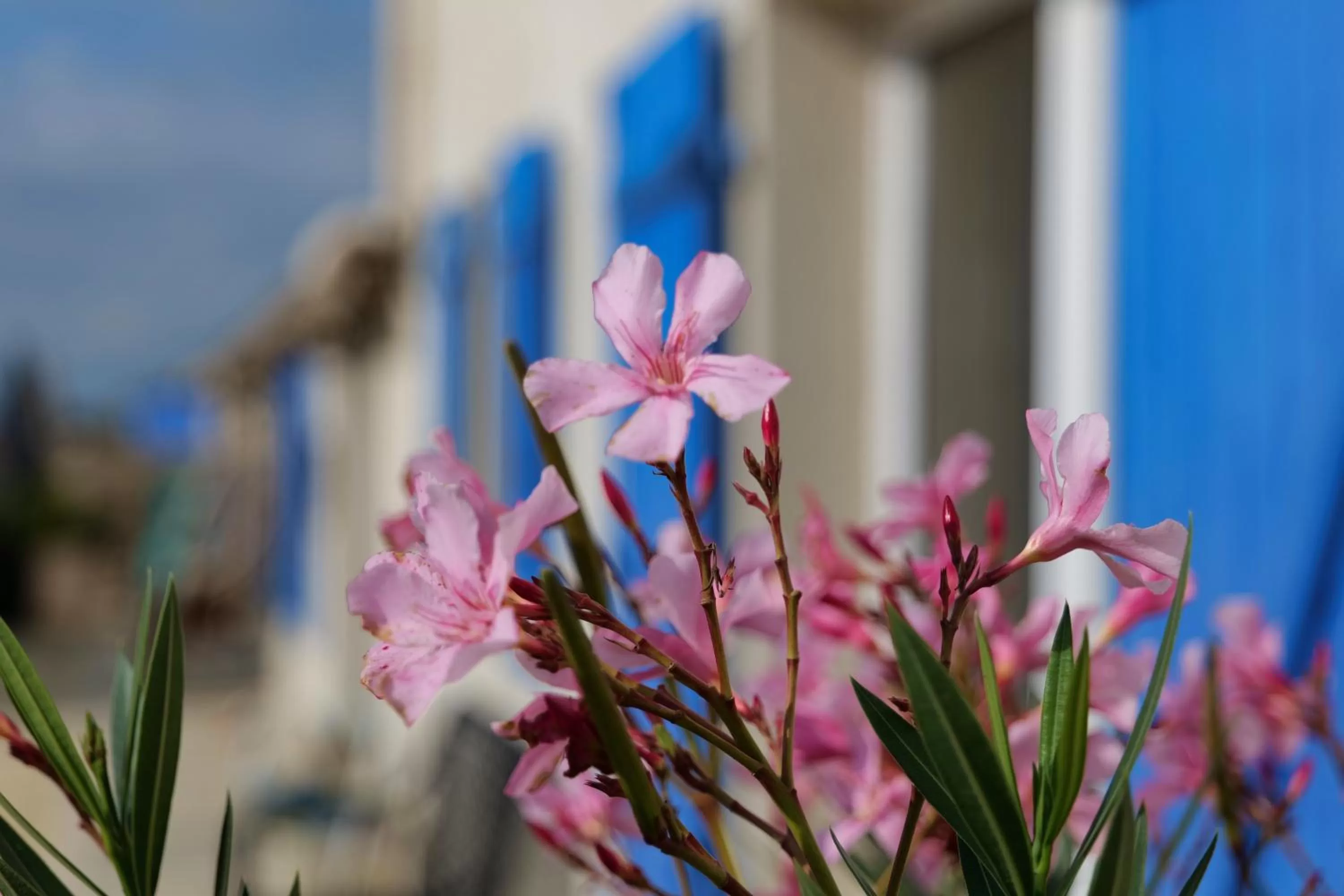 Seasons in MOULIN DE MAUZAC