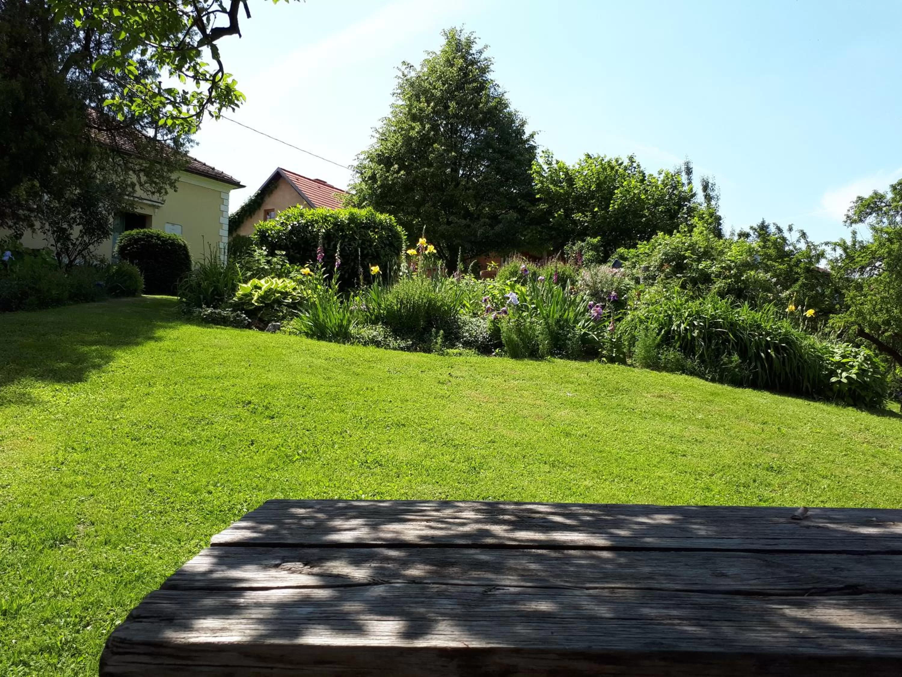 Garden in Mala Kmetija